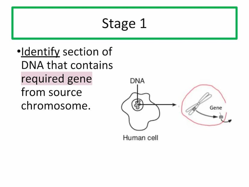N5 Unit 1 KA5
Genetic Engineering N5 biology course
1. Cell Biology
2. Multicellular Organisms
3. Life on Earth Unit 1 Cell Biology
1. Cell 