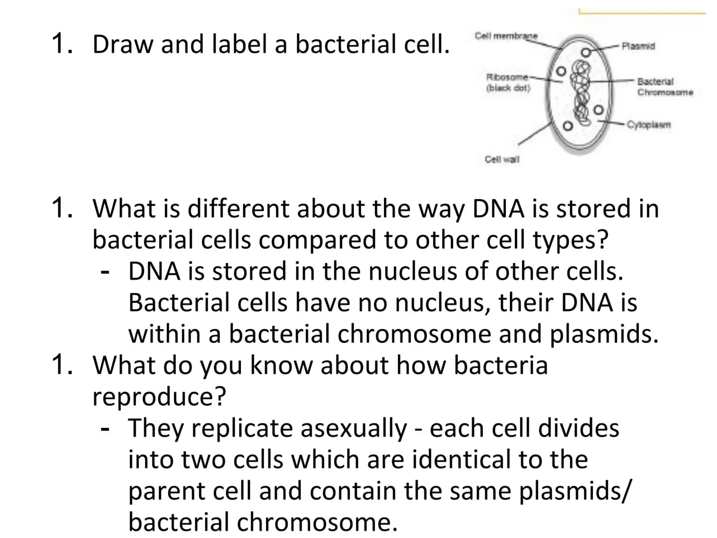 N5 Unit 1 KA5
Genetic Engineering N5 biology course
1. Cell Biology
2. Multicellular Organisms
3. Life on Earth Unit 1 Cell Biology
1. Cell 