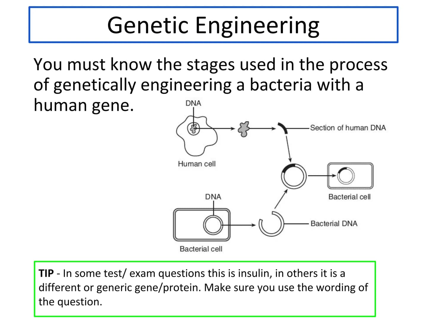 N5 Unit 1 KA5
Genetic Engineering N5 biology course
1. Cell Biology
2. Multicellular Organisms
3. Life on Earth Unit 1 Cell Biology
1. Cell 