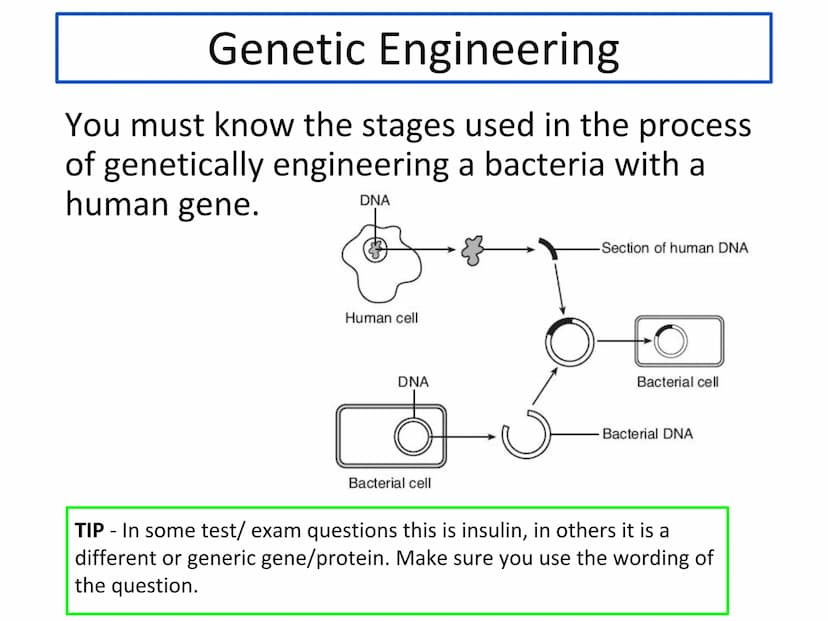 N5 Unit 1 KA5
Genetic Engineering N5 biology course
1. Cell Biology
2. Multicellular Organisms
3. Life on Earth Unit 1 Cell Biology
1. Cell 
