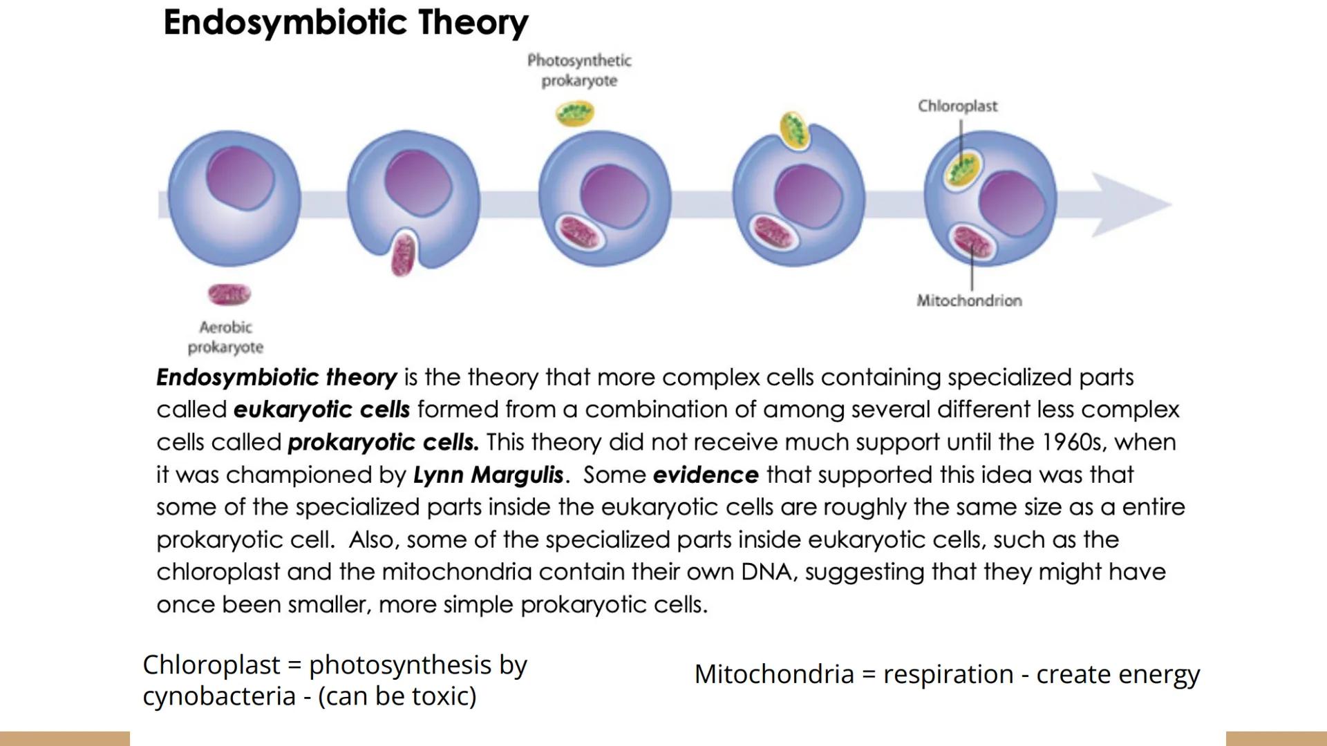 Origins of Life
Unit 2 Day 4 Review Theories
Origin of Life
Theory
Abiogenesis
Spontaneous
Generation
Biogenesis
Definition - Fill in the bl