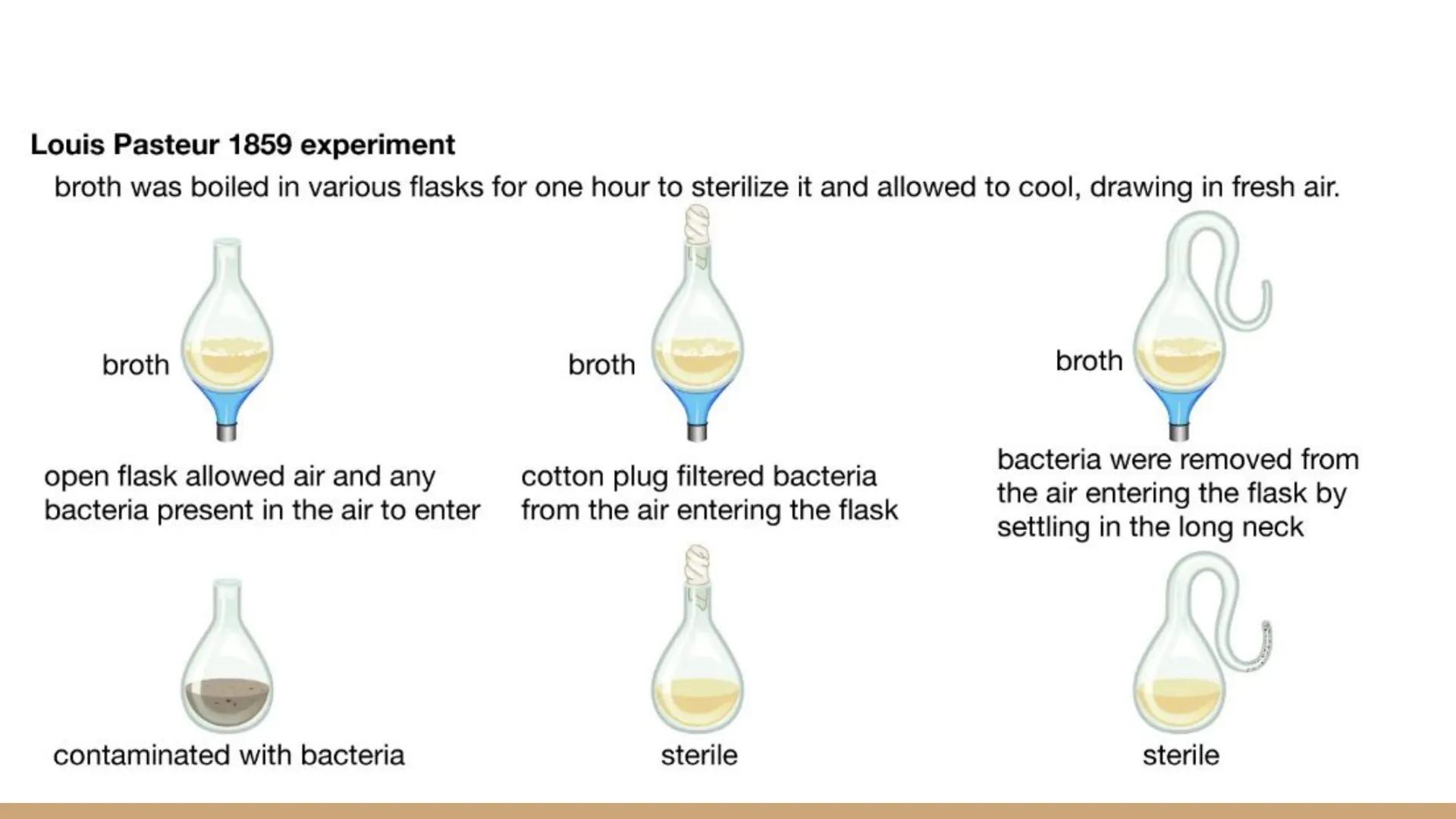 Origins of Life
Unit 2 Day 4 Review Theories
Origin of Life
Theory
Abiogenesis
Spontaneous
Generation
Biogenesis
Definition - Fill in the bl