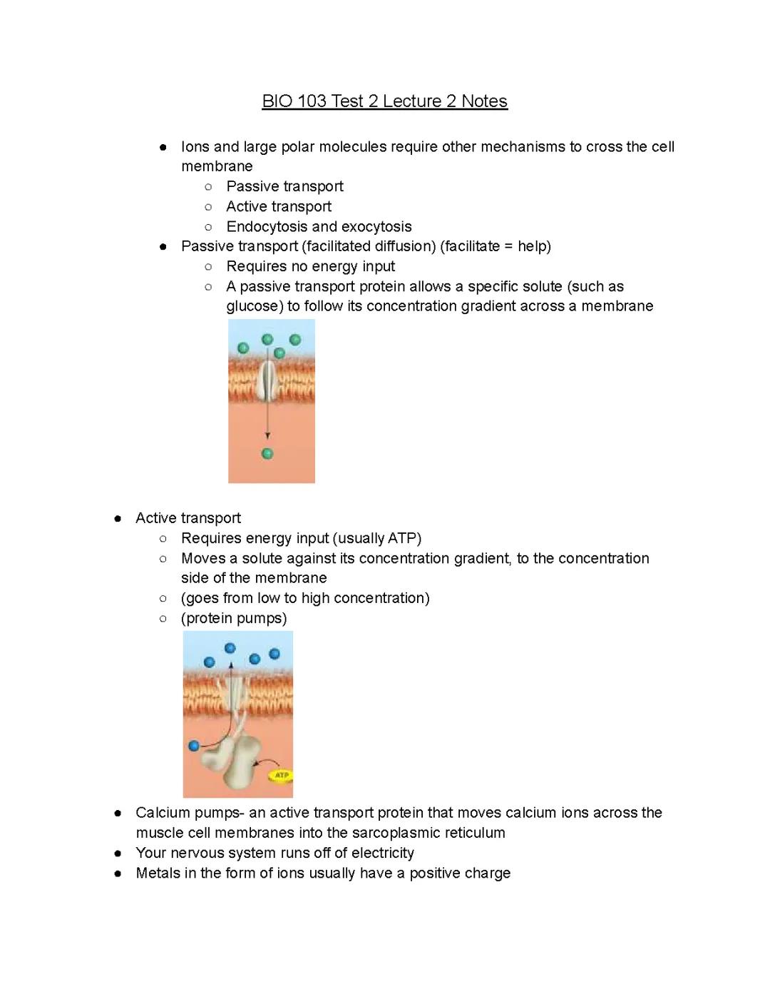 Biology Test 2 Lecture 2 Notes