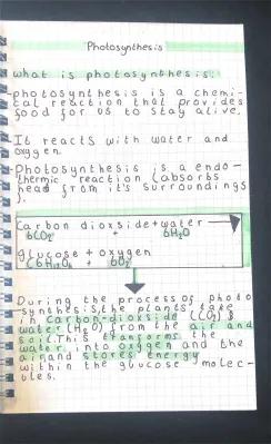 Know Photosynthesis  thumbnail