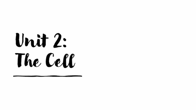 Unit 1:
Chemistry of Life Composed of C, H, & O-Ratio: 1:2:1
Monomer: Monosaccharide
H
HO
Glucose
CH,OH
H
OH
H
OH
Thymine
HO₂
OH
Examples: G