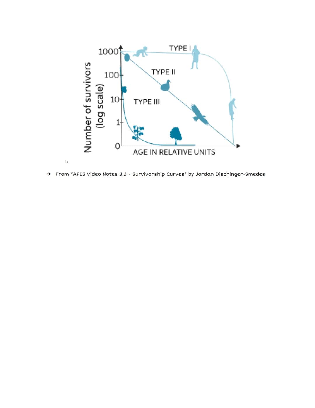→ Survivorship Curve: line that shows the survival rate of a cohort
(group of same-ages individuals) in a population from birth to death
Fas