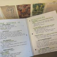 user profile picture