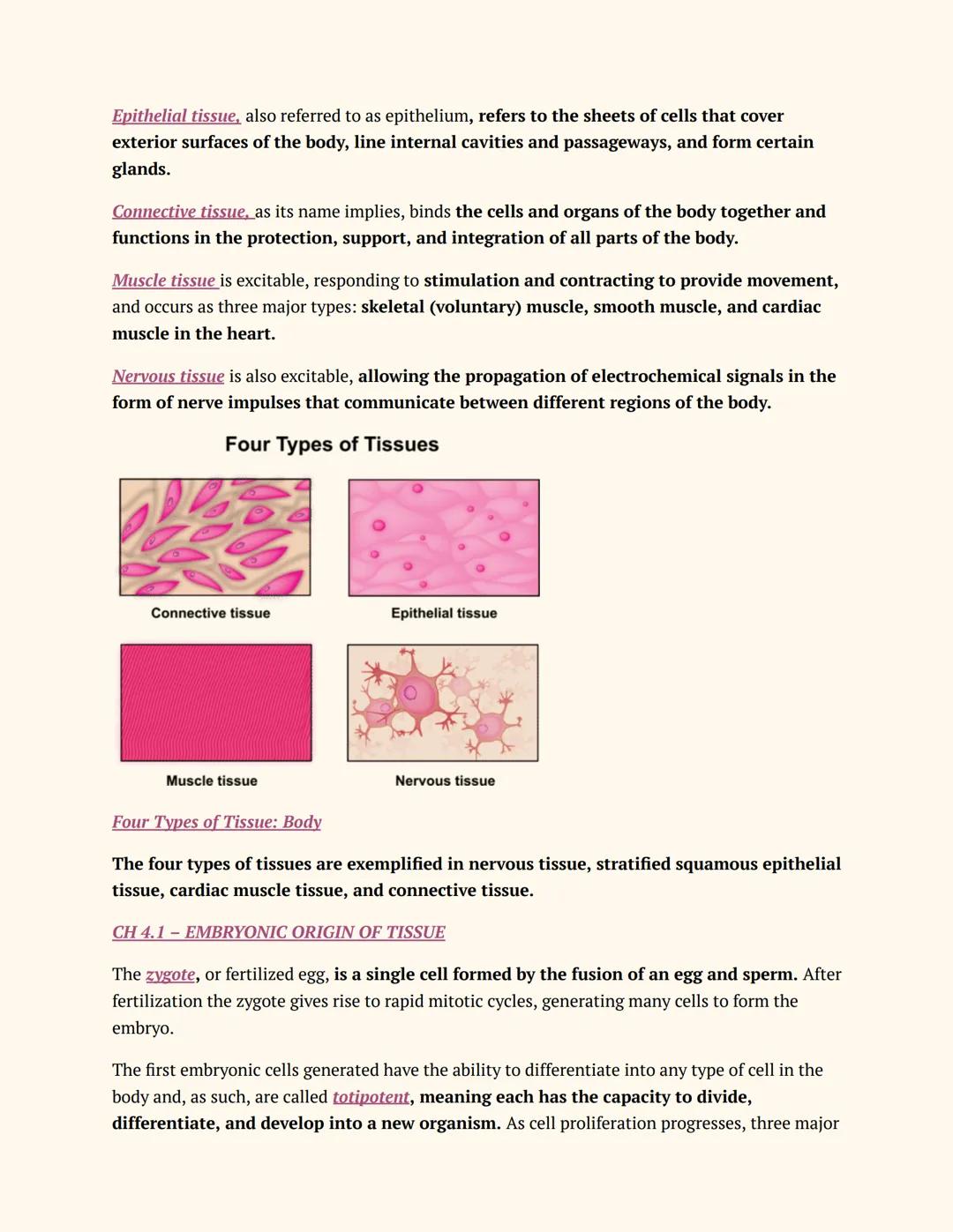 Anatomy & Physiology 01
Teacher:
CHAPTER 4-1
ANATOMY &
PHYSIOLOGY
Notes
Chpt 4: THE TISSUE LEVEL OF ORGANIZATION
Chpt 4.1 LEARNING OBJECTIVE