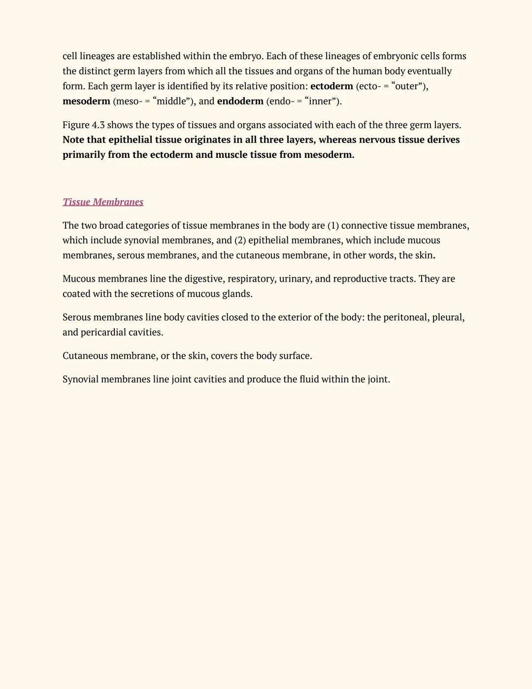 Anatomy & Physiology 01
Teacher:
CHAPTER 4-1
ANATOMY &
PHYSIOLOGY
Notes
Chpt 4: THE TISSUE LEVEL OF ORGANIZATION
Chpt 4.1 LEARNING OBJECTIVE