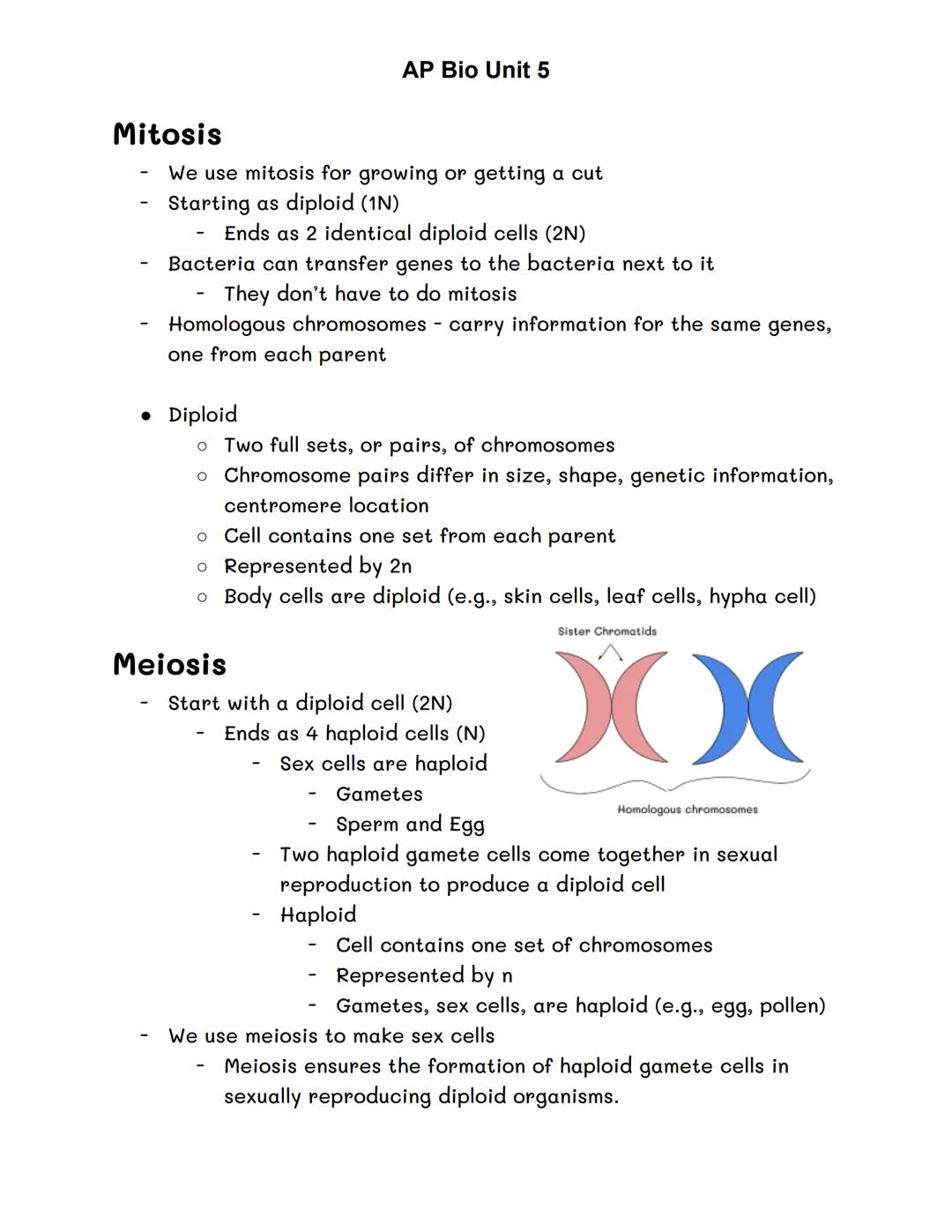 Mitosis
We use mitosis for growing or getting a cut
Starting as diploid (1N)
Ends as 2 identical diploid cells (2N)
Bacteria can transfer ge