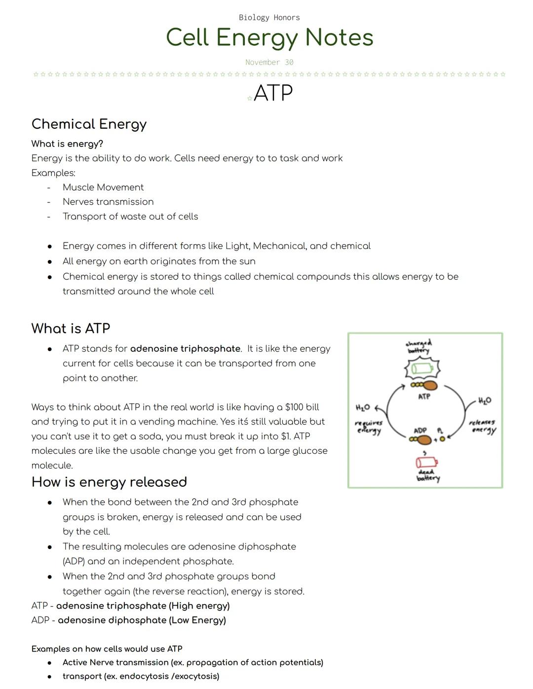 ●
Chemical Energy
What is energy?
Energy is the ability to do work. Cells need energy to to task and work
Examples:
●
Biology Honors
Cell En