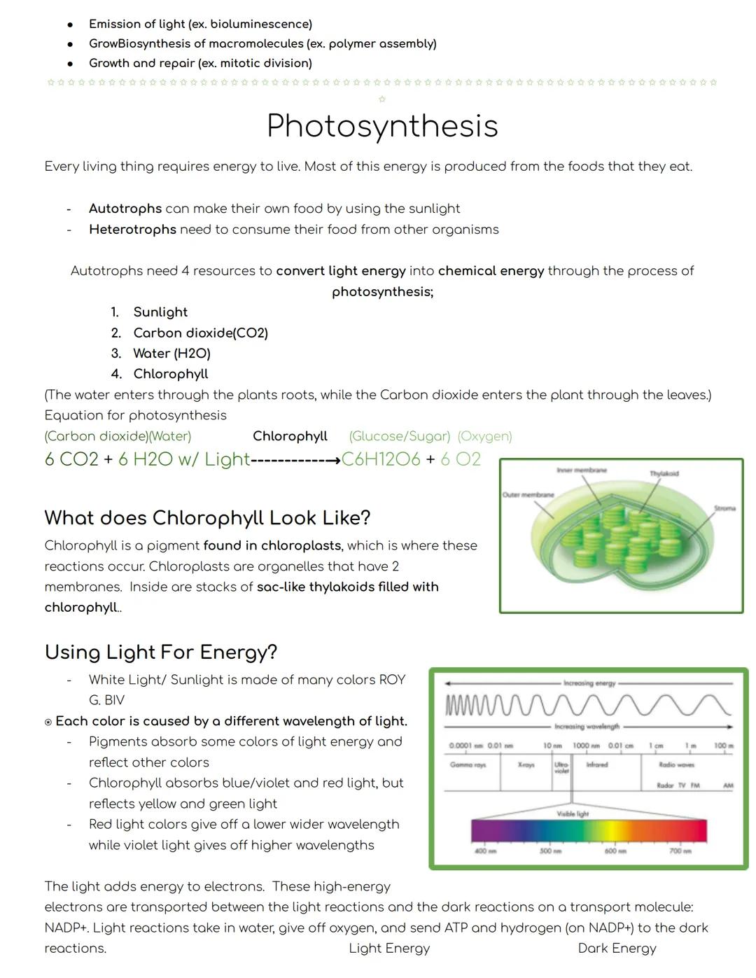 ●
Chemical Energy
What is energy?
Energy is the ability to do work. Cells need energy to to task and work
Examples:
●
Biology Honors
Cell En