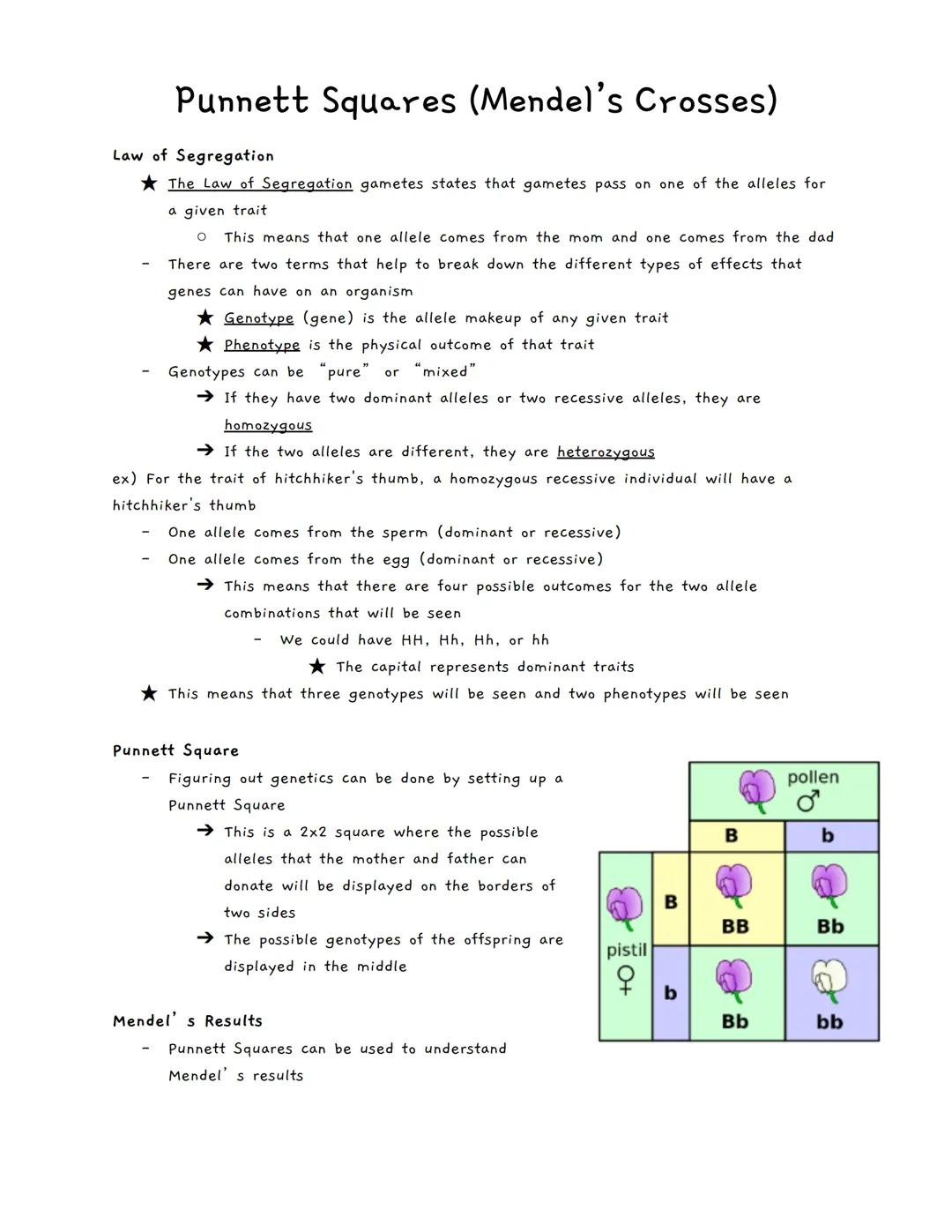 Punnett Squares (Mendel's Crosses)
Law of Segregation
The Law of Segregation gametes states that gametes pass on one of the alleles for
a gi