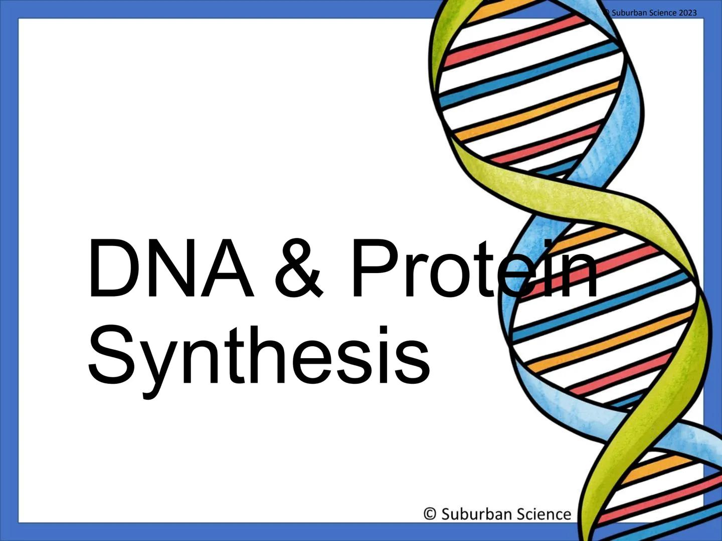 DNA & Protein
Synthesis
O Suburban Science
Suburban Science 2023
CAZIONE What is genetics?
•Genetics is the science
that studies how
charact