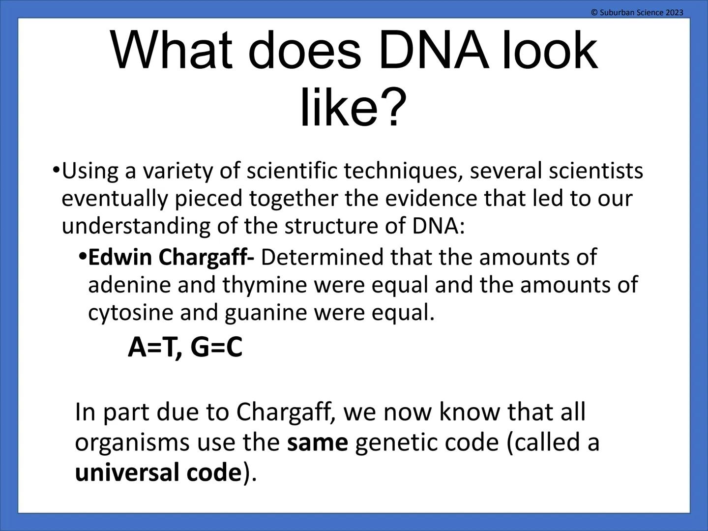 DNA & Protein
Synthesis
O Suburban Science
Suburban Science 2023
CAZIONE What is genetics?
•Genetics is the science
that studies how
charact