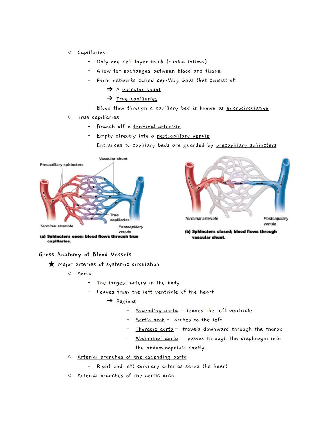 # The Cardiovascular System
The Cardiovascular System
★ A closed system of the heart and blood vessels
*   The heart pumps blood
*   Bloo