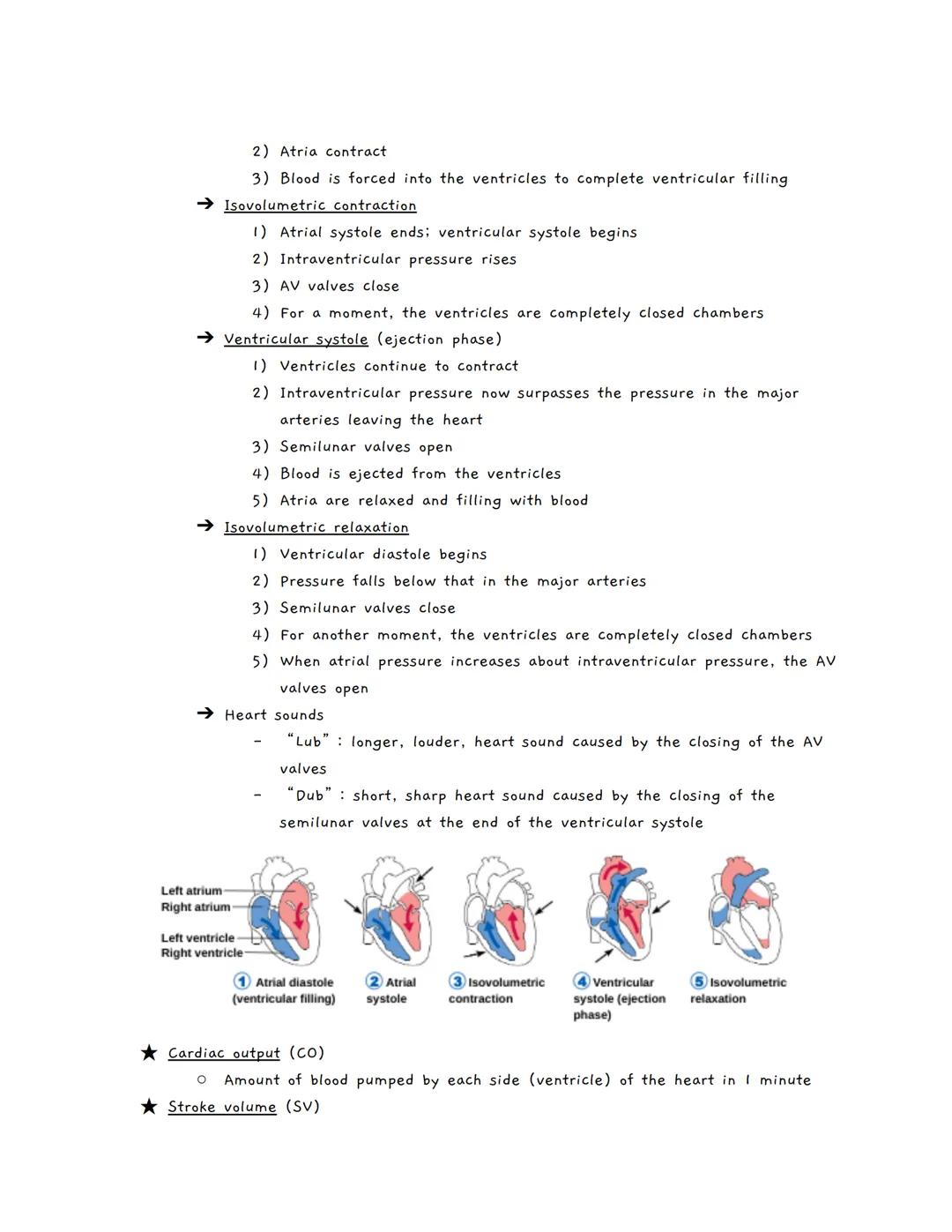 # The Cardiovascular System
The Cardiovascular System
★ A closed system of the heart and blood vessels
*   The heart pumps blood
*   Bloo