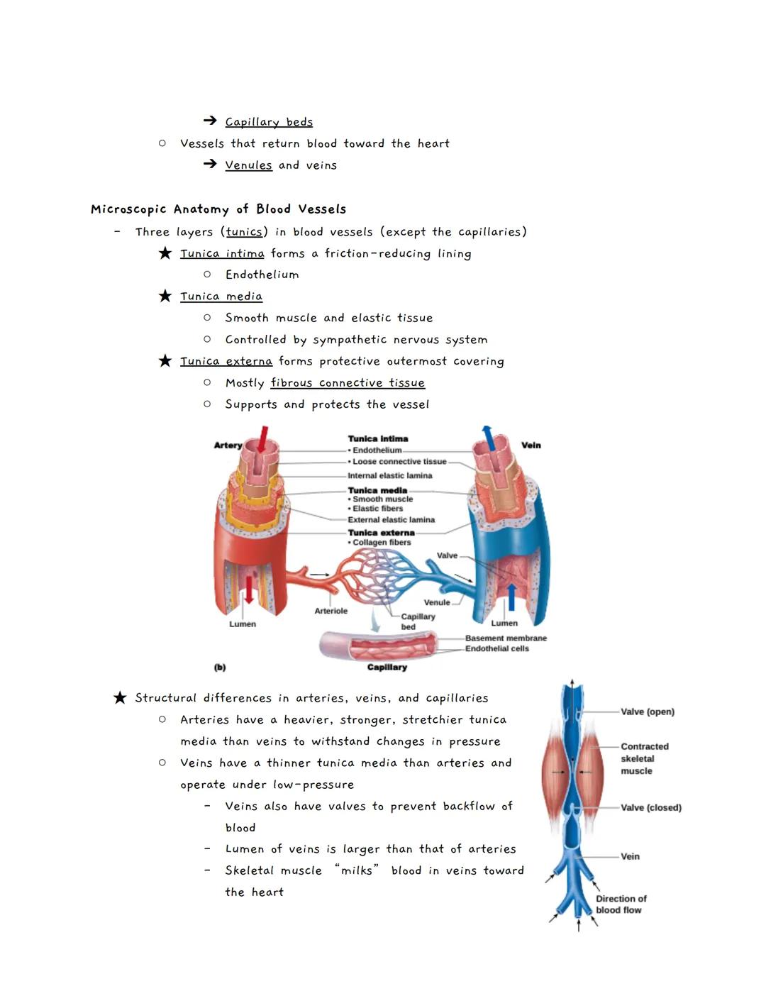 # The Cardiovascular System
The Cardiovascular System
★ A closed system of the heart and blood vessels
*   The heart pumps blood
*   Bloo