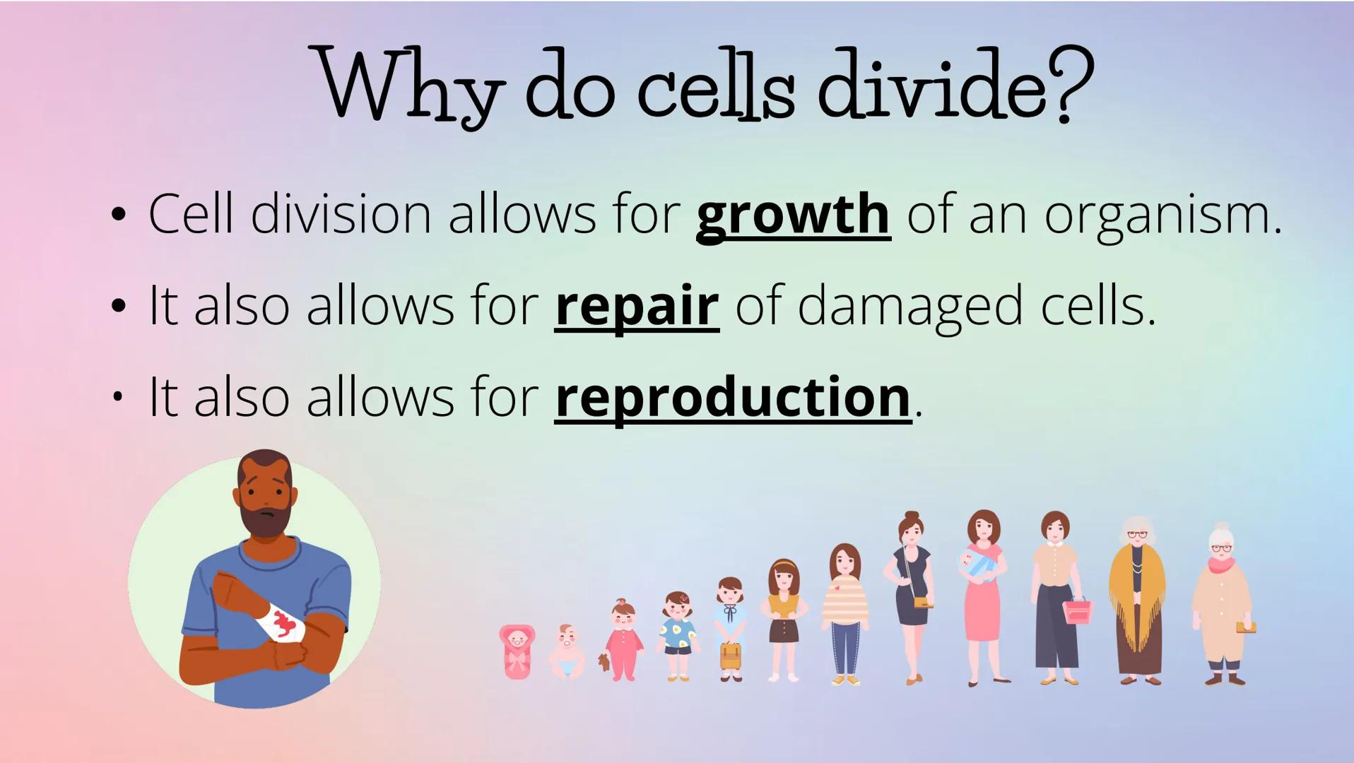 THE CELL CYCLE
The life and reproduction of a cell. Cell Theory
5
Theory that all living things.
are made up of cells.
All cells come from a