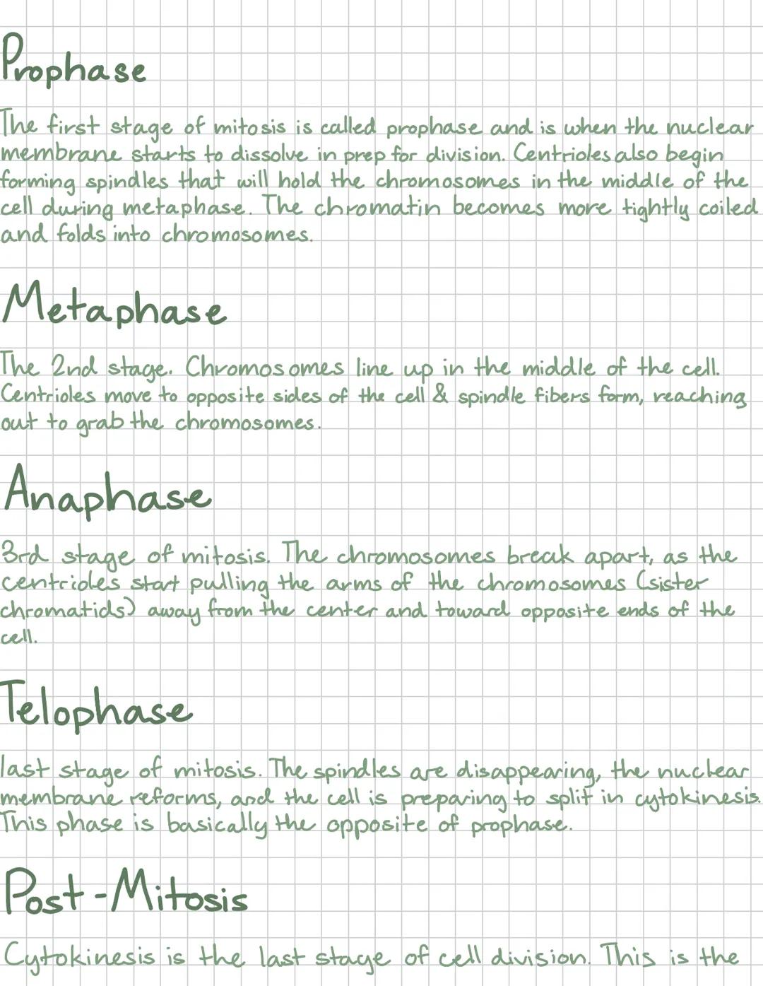 Mitosis
Mitosis is when the nucleus of the cell divides and has 4 phases-
Prophase Metaphase
Anaphase
Telophase
Mitosis occurs in all eukary