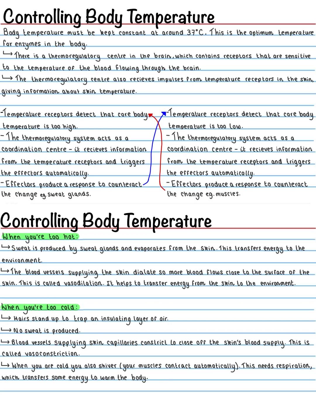 Homeostasis
Homeostasis is the ability to maintain a constant internal environment in response to internal and external
change.
It is import