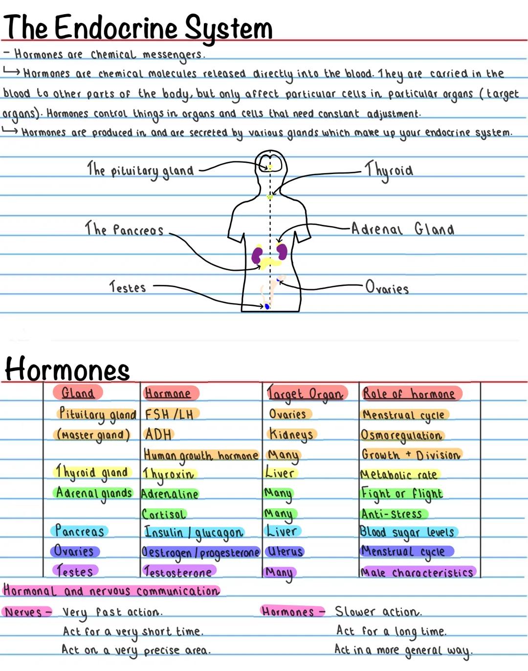 Homeostasis
Homeostasis is the ability to maintain a constant internal environment in response to internal and external
change.
It is import