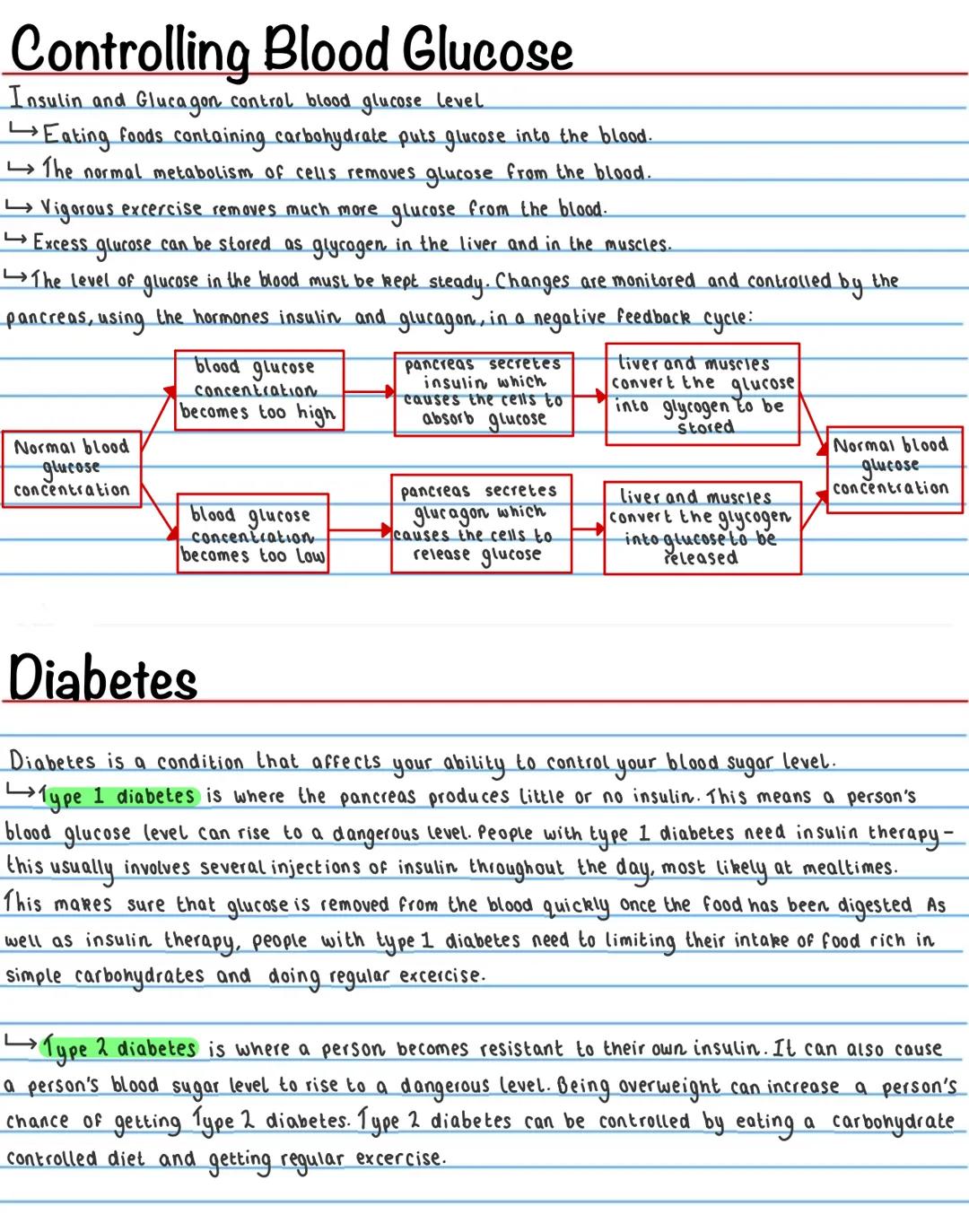 Homeostasis
Homeostasis is the ability to maintain a constant internal environment in response to internal and external
change.
It is import