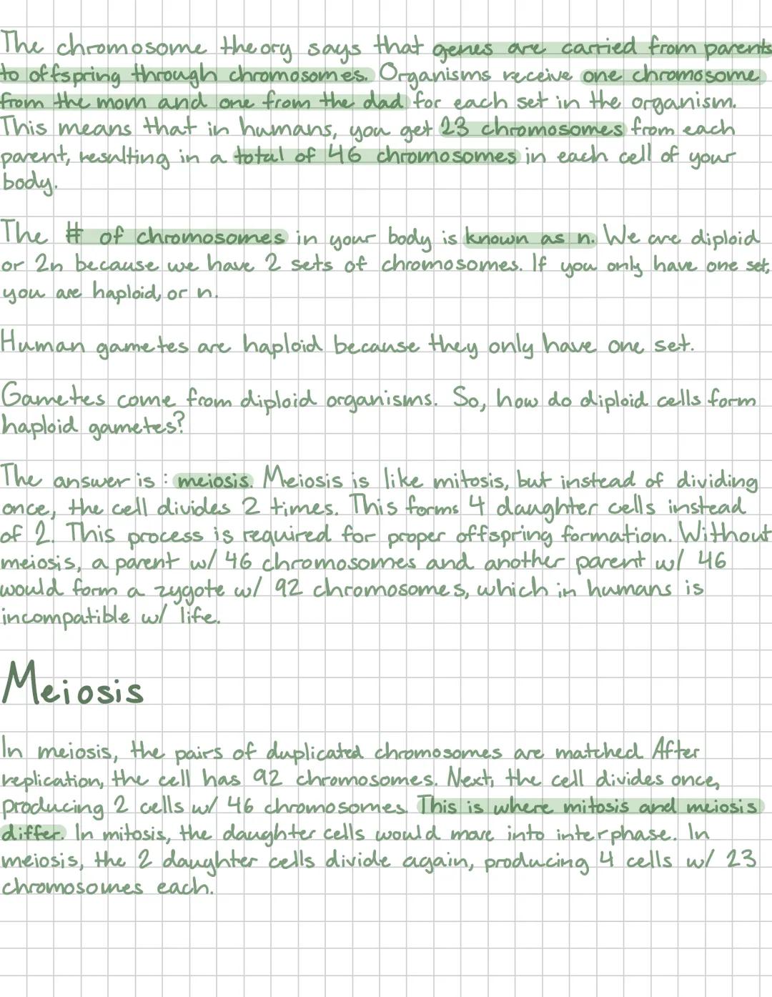 # Meisosis
Mitosis occurs when a cell has grown to full size and needs
to split to get smaller. It also helps replace dead/damaged cells
w/