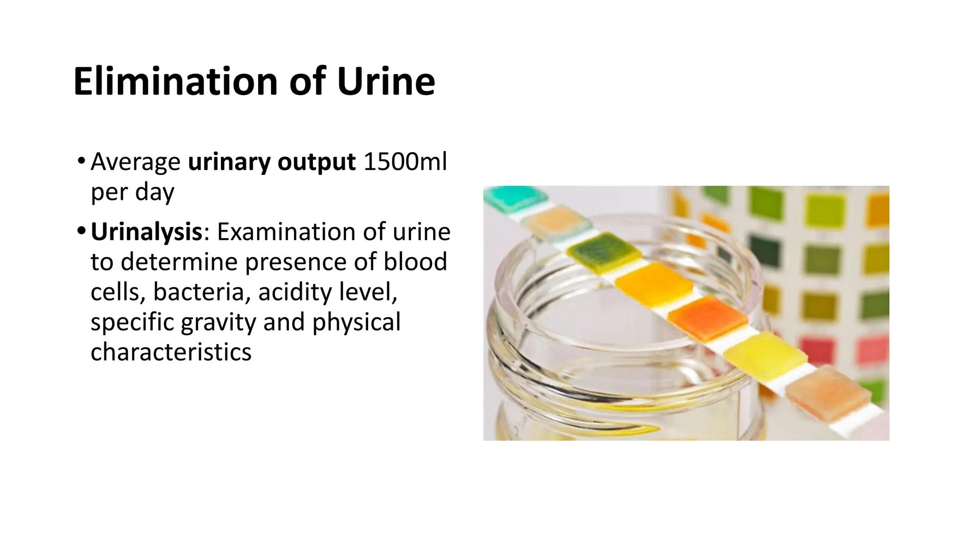 3.02 STRUCTURES,
FUNCTIONS, AND
DISORDERS OF
THE URINARY
CTE
Learning that works
for North Carolina
SYSTEM
Adrenal
Gland
Kidney-
Ureter-
Bla