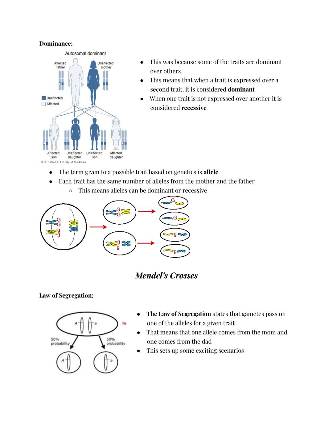 Genetics
Introduction:
Basics of Genetics
⚫ Things like hair color are passed from parents to their offspring
⚫ The parents give offspring D