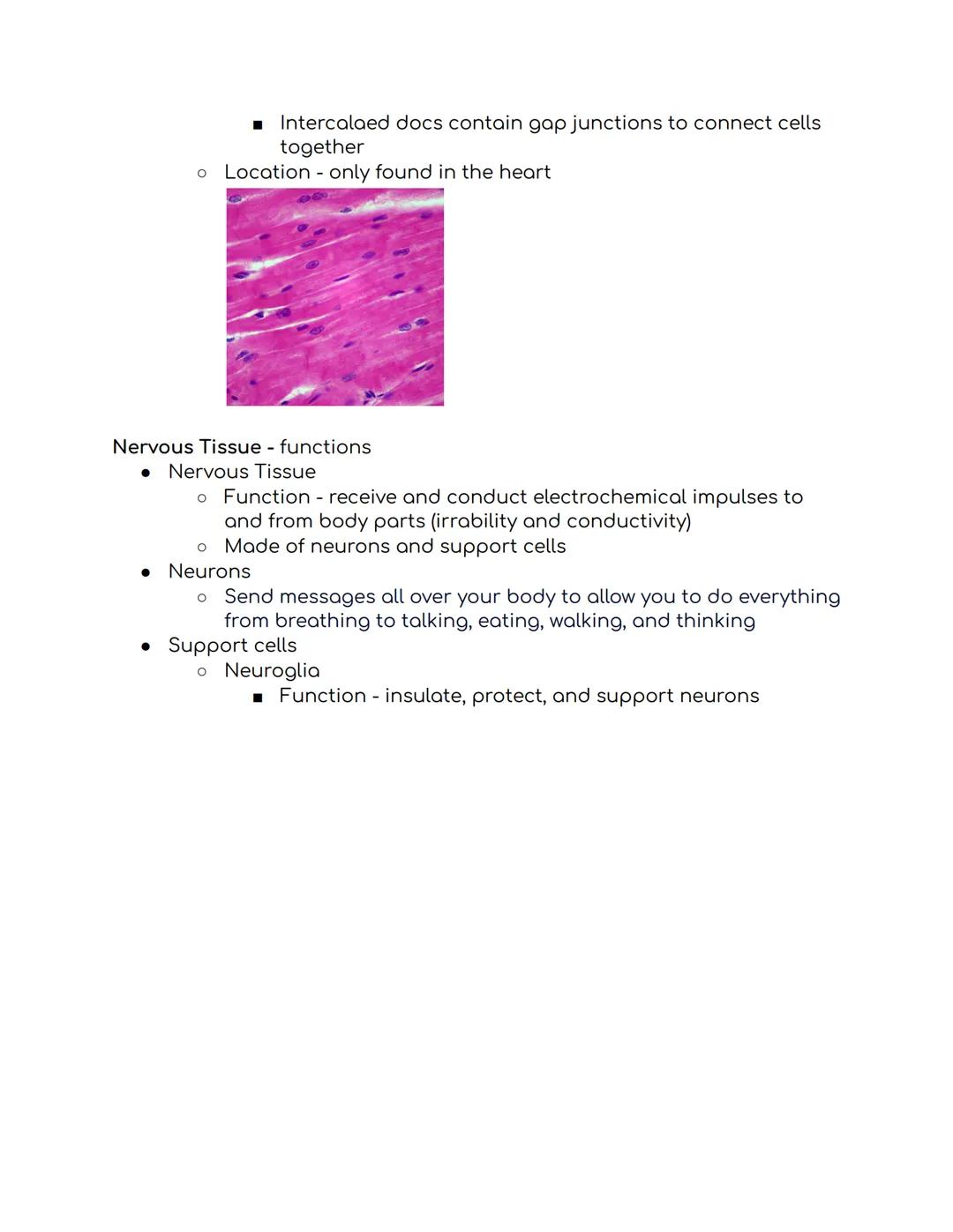 Tissues Study Guide Biomed 1:
Epithelial Tissue
• Places to find epithelial tissue
。 Body coverings, body linings, glandular tissue
• Functi