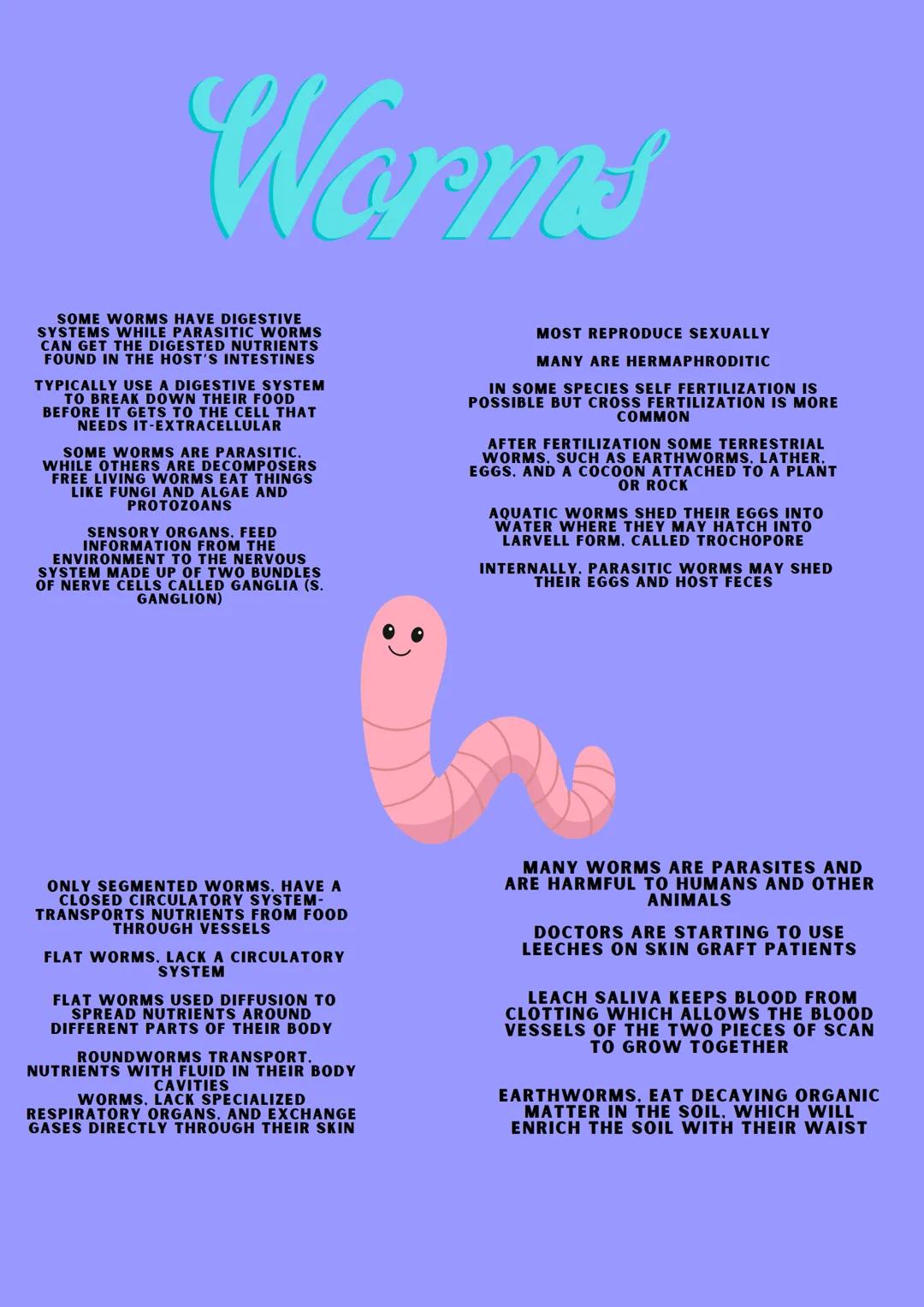 # SPONGES
PHYLUM PORIFERA-PORE BEARERS
NO NERVOUS. DIGESTIVE OR CIRCULATORY SYSTEM
SESSILE -ATTACH THEMSELVES TO ROCKS
AND STAY IN ONE P