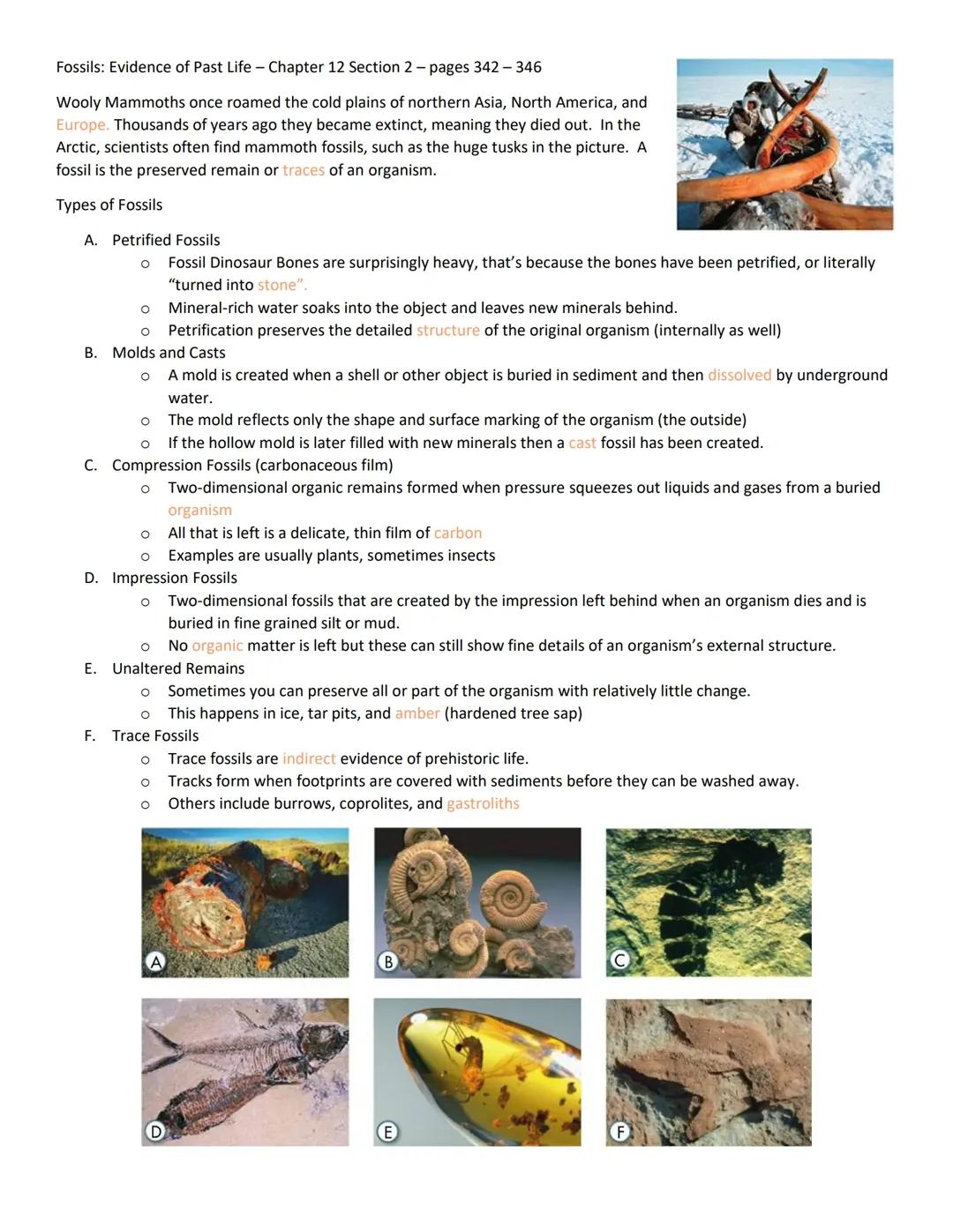 Fossils and Geologic Time Scale Explained