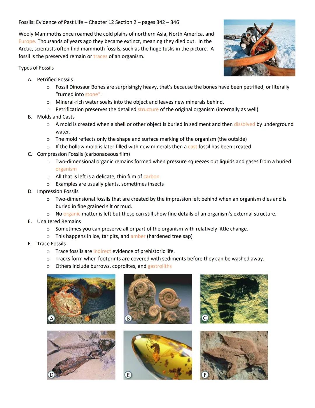 Fossils: Evidence of Past Life - Chapter 12 Section 2 - pages 342-346
Wooly Mammoths once roamed the cold plains of northern Asia, North Ame
