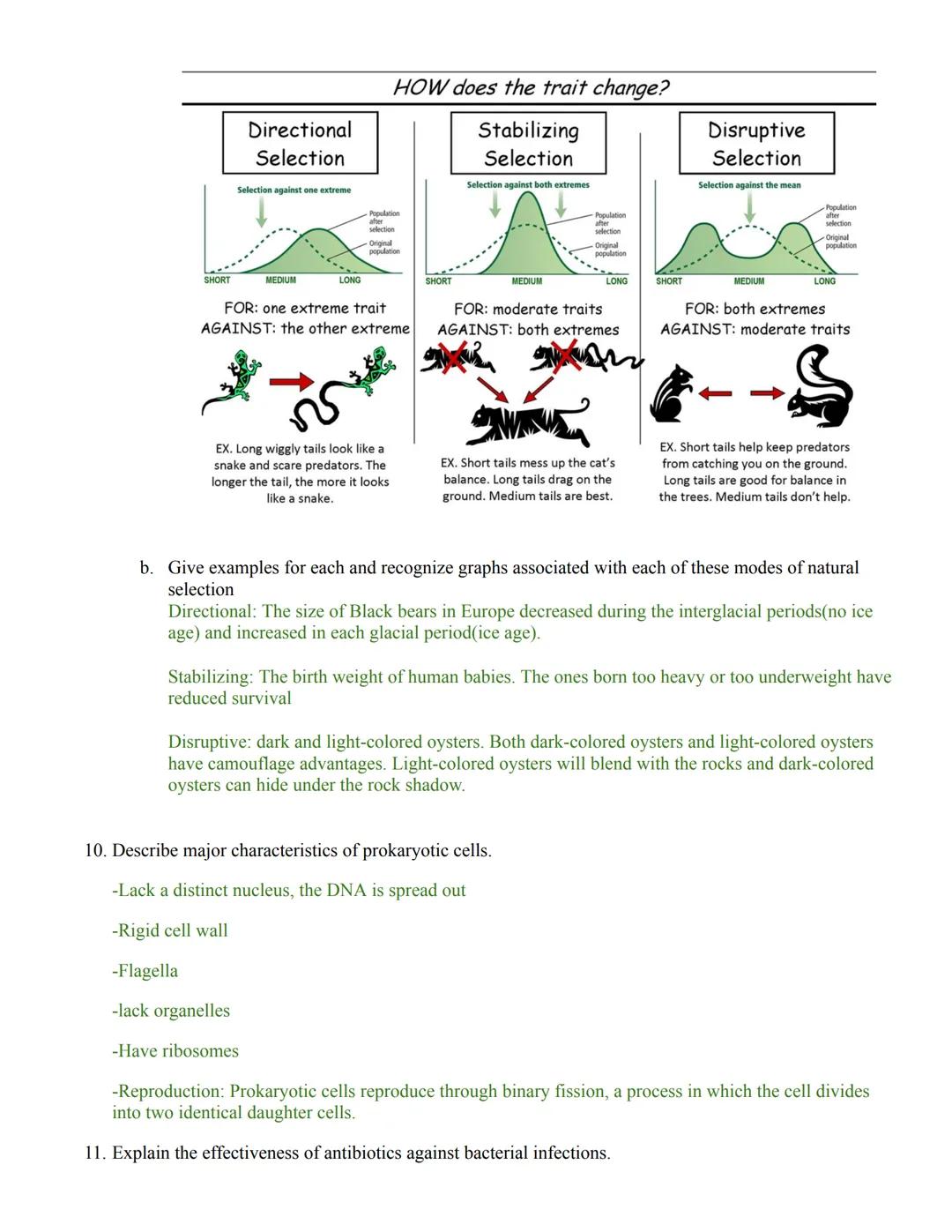 Evolution
Ecology
Genetics
Protein Synthesis
DNA Structure and Replication
Honors Biology Student Targets: Semester 2
DNA Structure and Repl