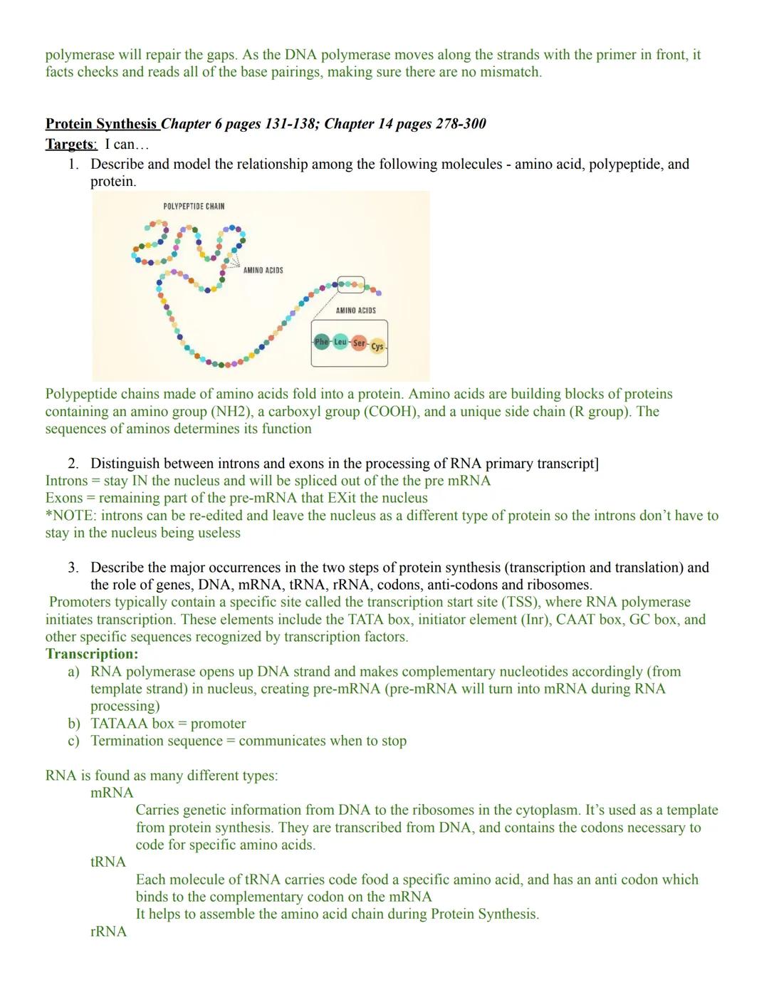 Evolution
Ecology
Genetics
Protein Synthesis
DNA Structure and Replication
Honors Biology Student Targets: Semester 2
DNA Structure and Repl