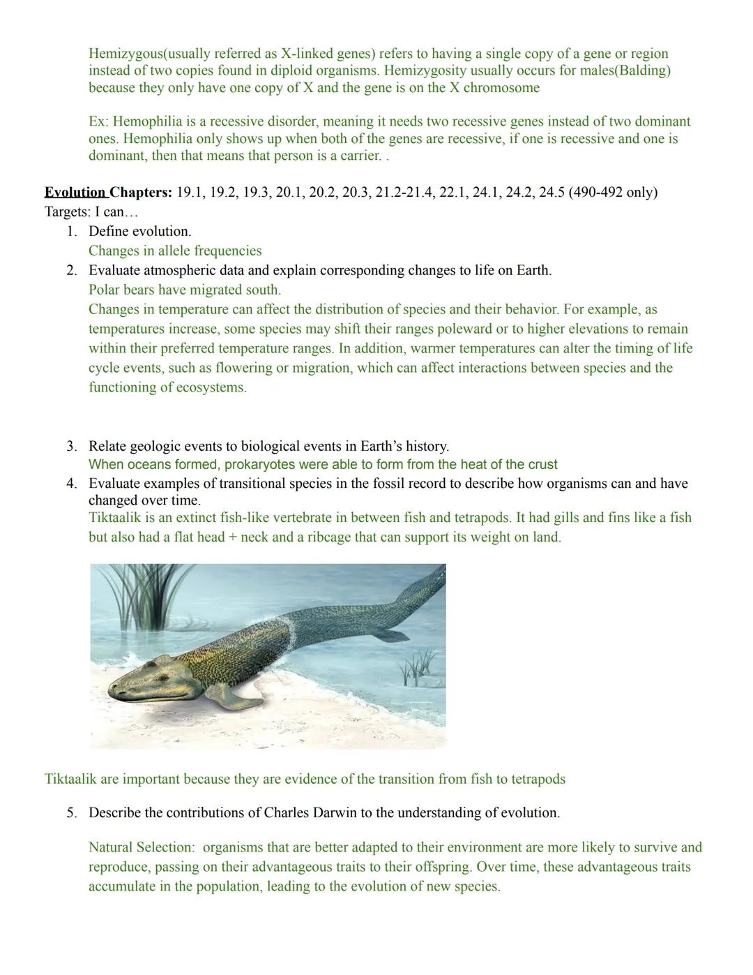 Evolution
Ecology
Genetics
Protein Synthesis
DNA Structure and Replication
Honors Biology Student Targets: Semester 2
DNA Structure and Repl