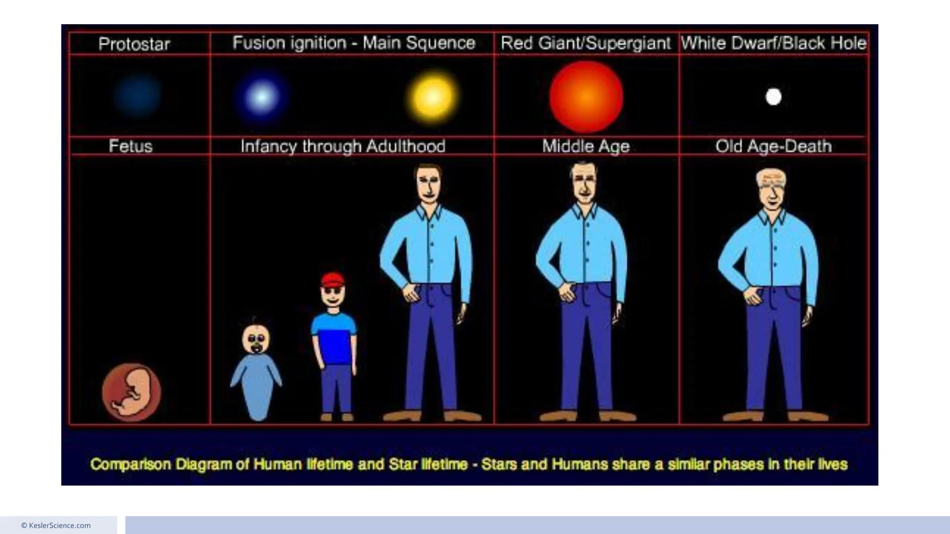 Low-mass stars
High-mass stars
Red giant
Arcturus
Mid-sized star
The Sun
Red
dwarf
Proxima
Protostar
V1647 Orionis
Star-forming
nebula
Eagle