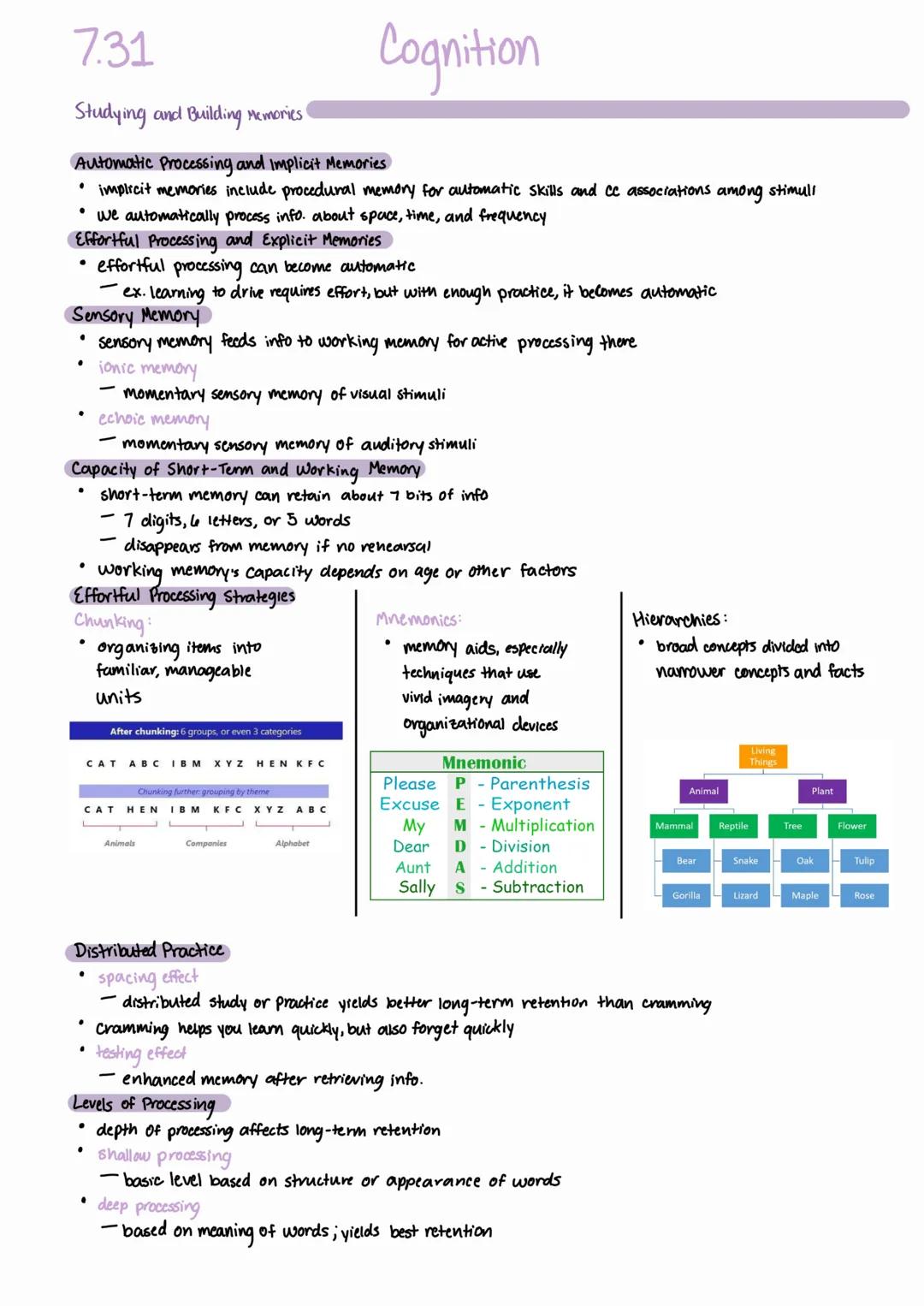 7.31
Studying and Building Memories!
Studying Memory
memory
- learning that's persisted over time
Memory Models
•
Cognition
memory models he