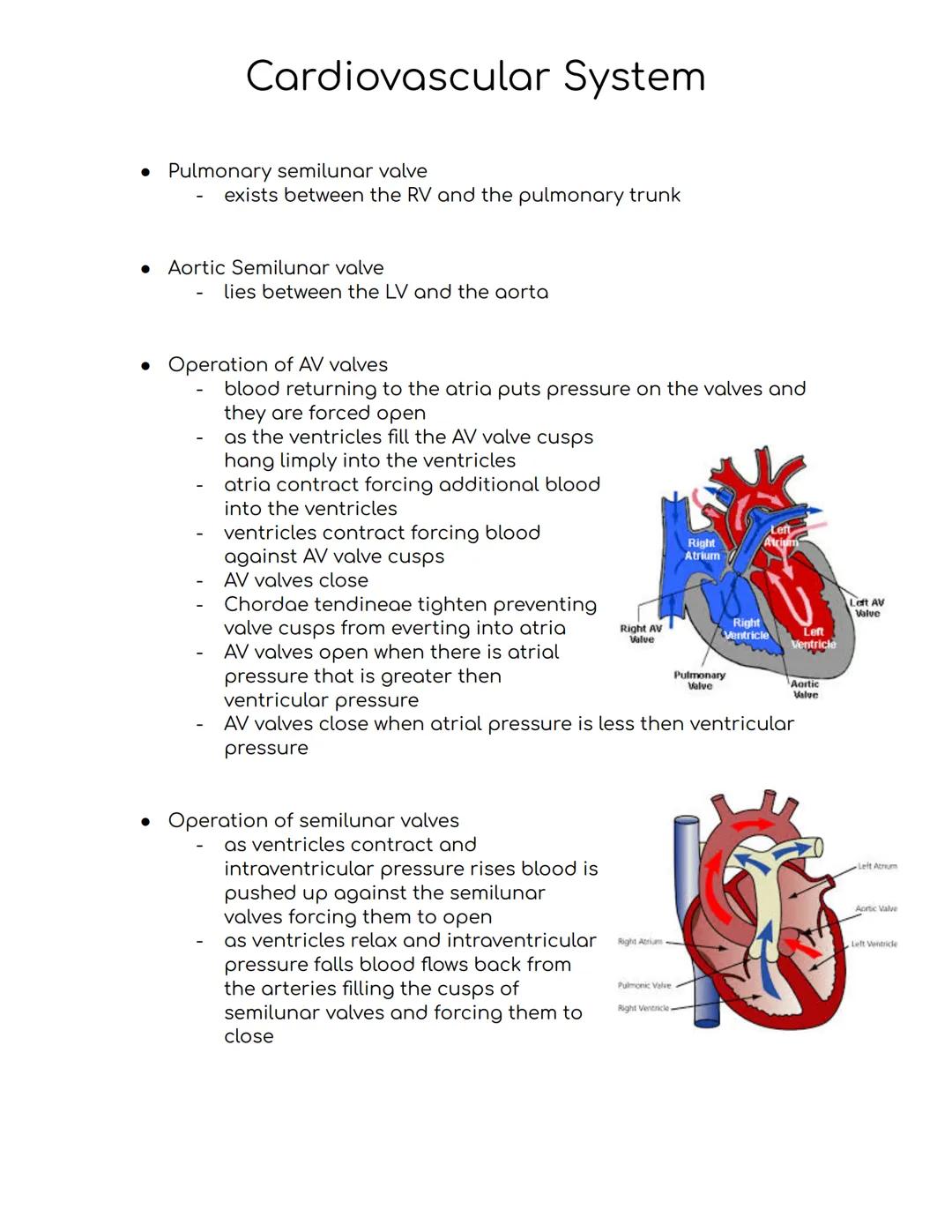 Cardiovascular System
Cardiovascular system
-A closed system of the heart and blood vessels
-The heart pumps blood
-Blood vessels allow bloo
