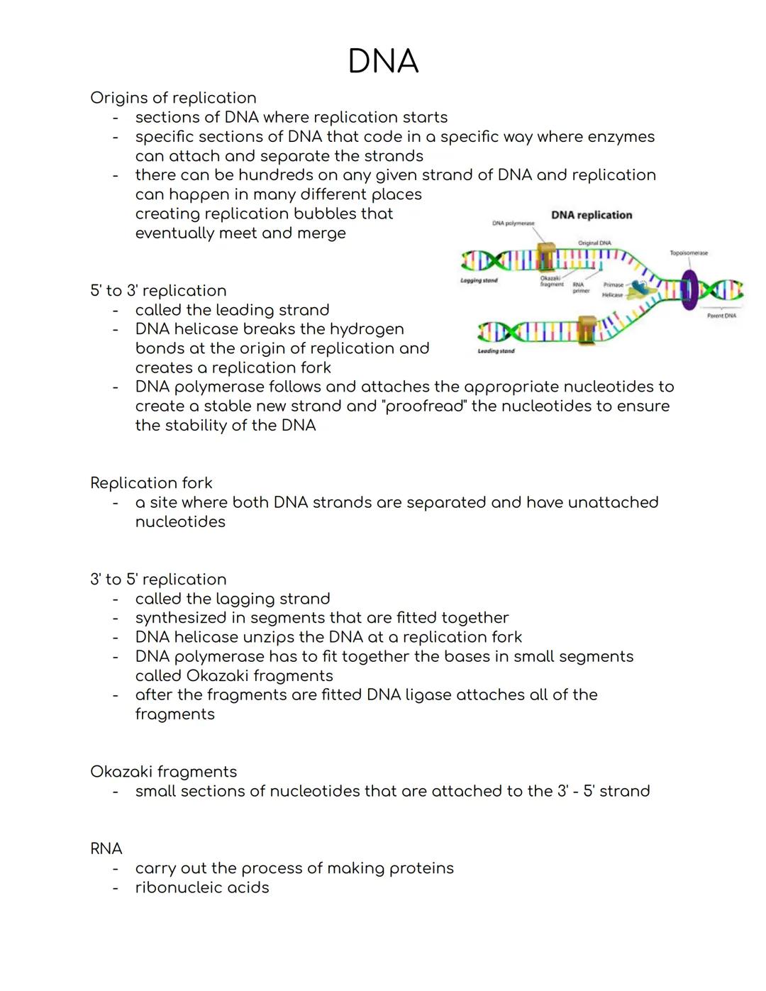 # DNA
DNA
- deoxyribonucleic acid
- stores hereditary information
- not a lot was known about it until the 1900s, people only knew that it