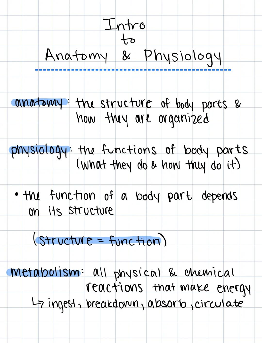 Intro
to
Anatomy & Physiology
anatomy: the structure of body parts &
how they are organized
physiology: the functions of body parts
(what th