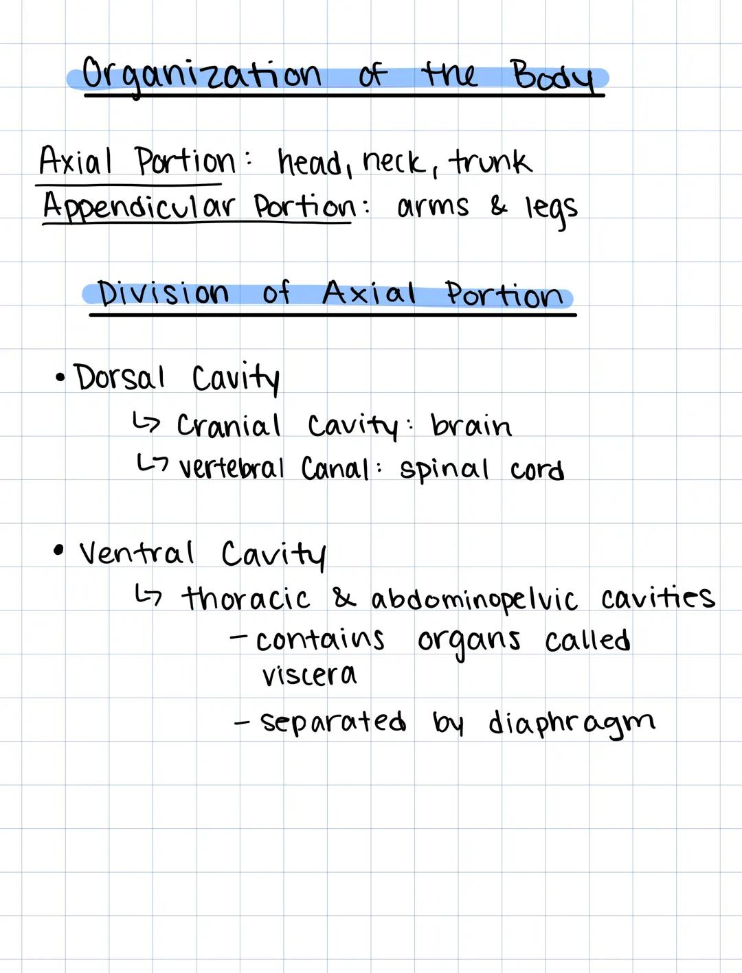 Intro
to
Anatomy & Physiology
anatomy: the structure of body parts &
how they are organized
physiology: the functions of body parts
(what th