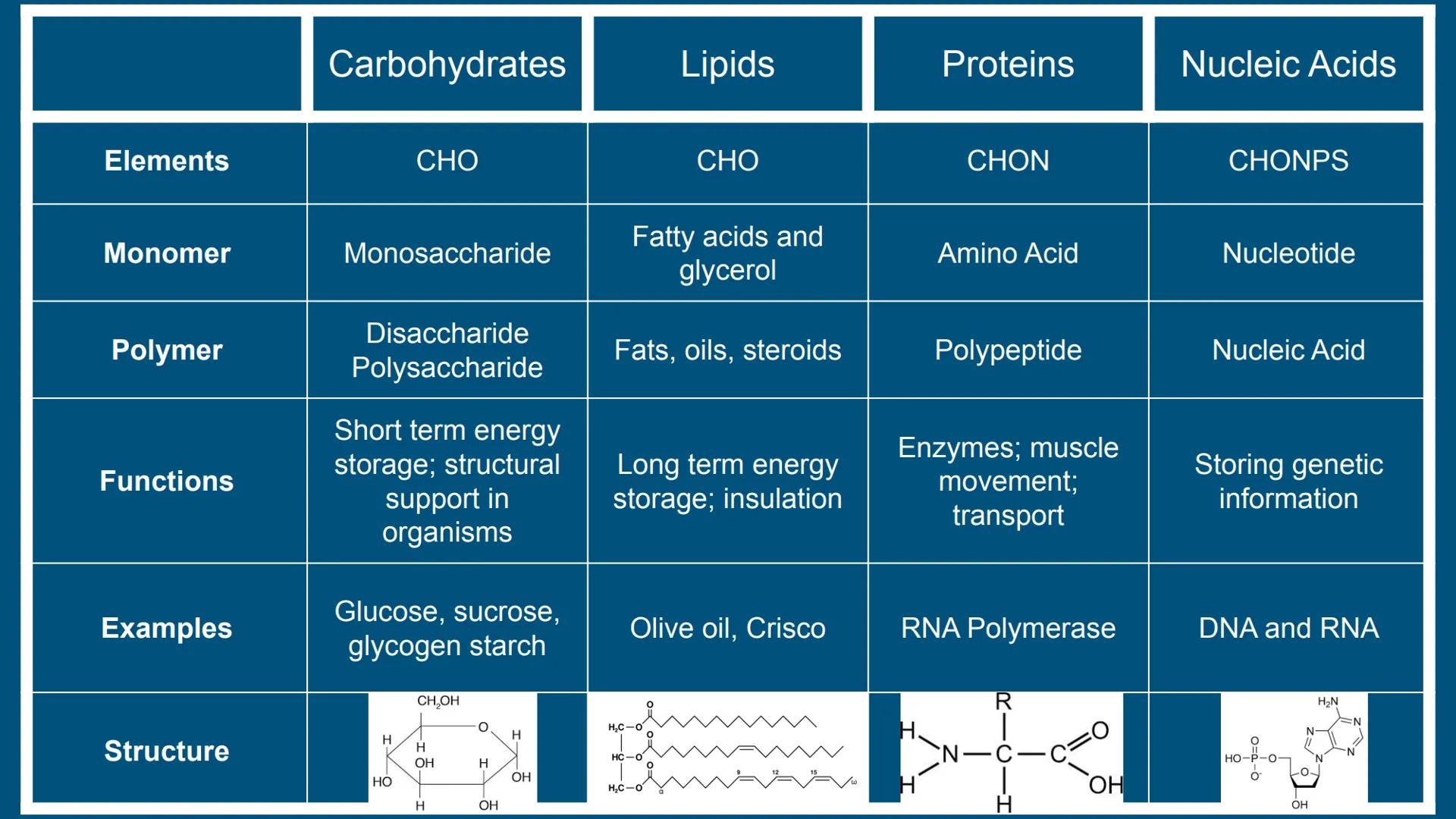 Benchmark Review
Benchmark 12/18/24 Unit 1: Biomolecules
Understandings & Questions
The function of biomolecules, including carbohydrates, l