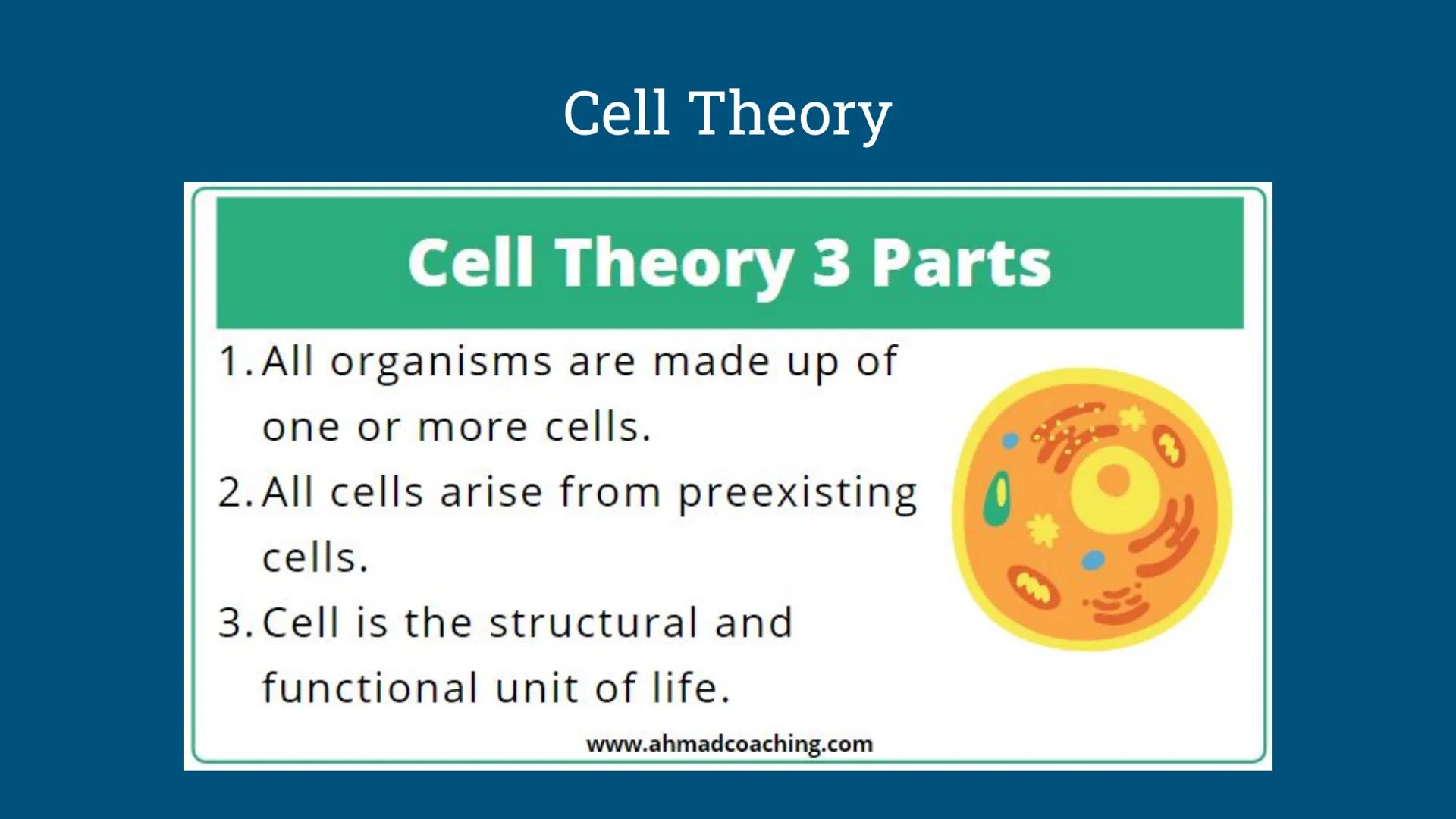Benchmark Review
Benchmark 12/18/24 Unit 1: Biomolecules
Understandings & Questions
The function of biomolecules, including carbohydrates, l