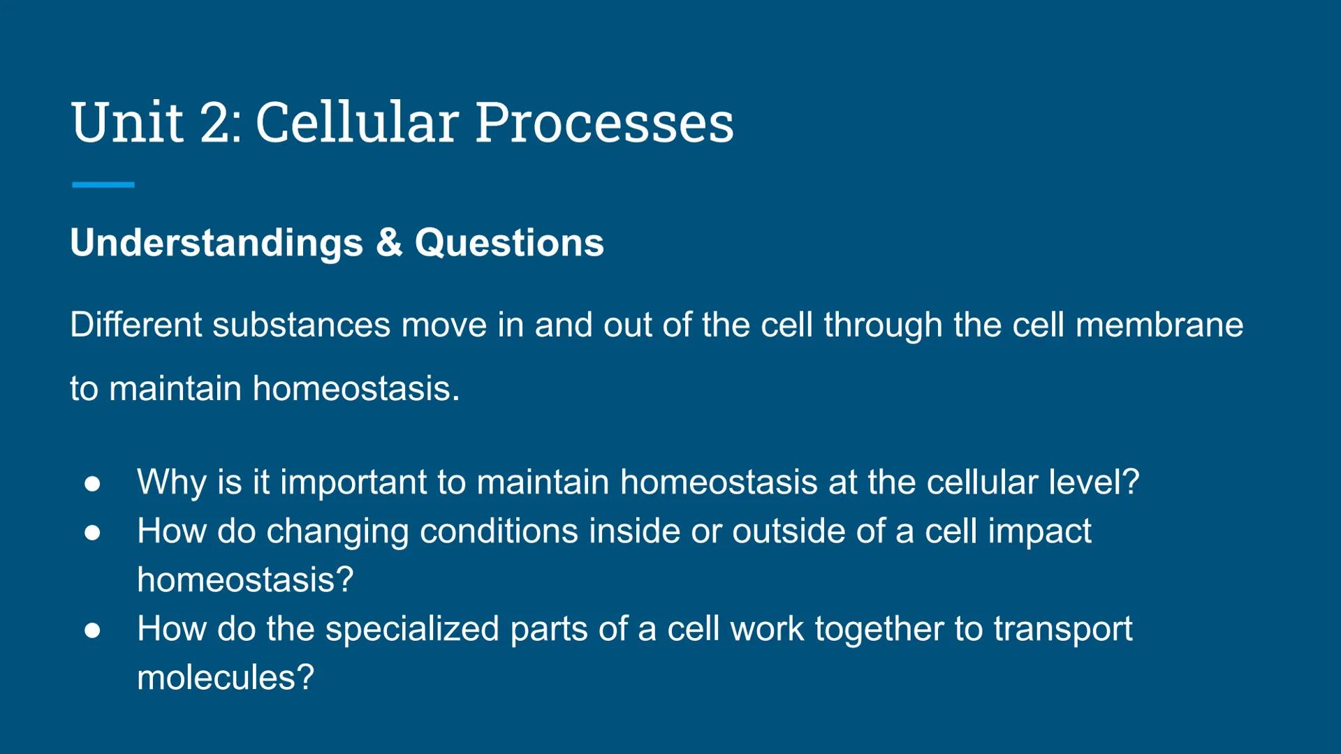 Benchmark Review
Benchmark 12/18/24 Unit 1: Biomolecules
Understandings & Questions
The function of biomolecules, including carbohydrates, l