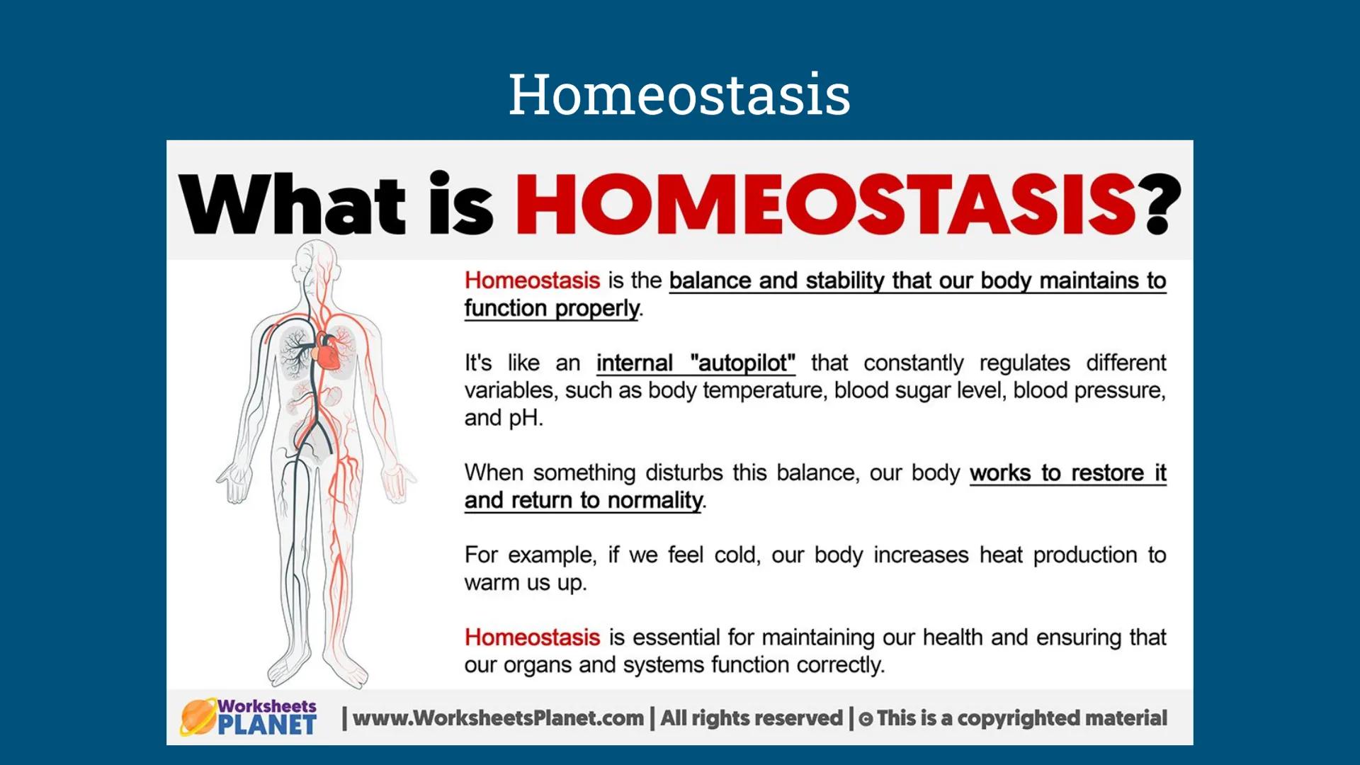 Benchmark Review
Benchmark 12/18/24 Unit 1: Biomolecules
Understandings & Questions
The function of biomolecules, including carbohydrates, l
