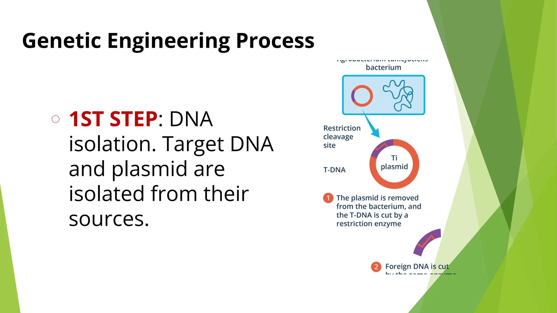 GENERAL BIOLOGY II
WEEK 1 | THIRD QUARTER | SECOND SEMESTER OBJECTIVES:
At the end of the lesson, the students should be
able to:
⚫ introduc