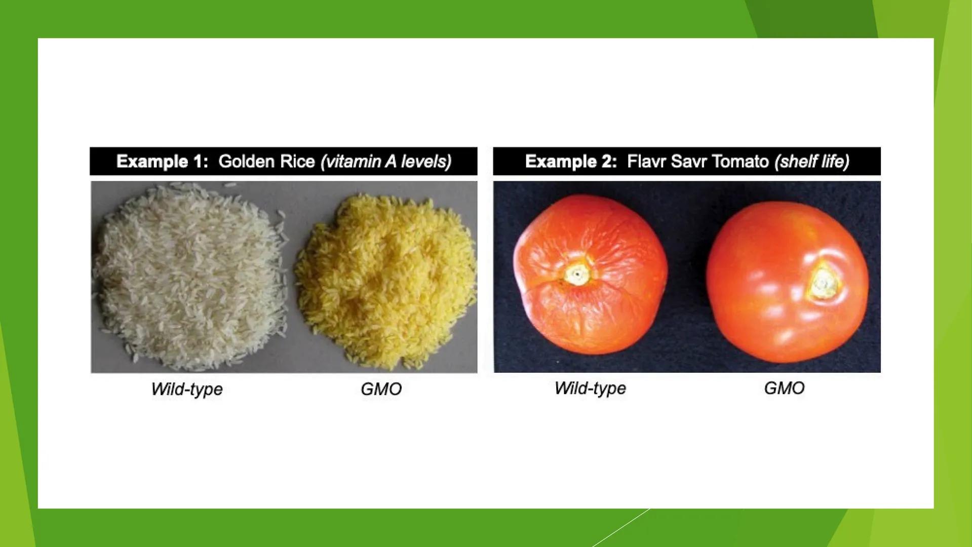 GENERAL BIOLOGY II
WEEK 1 | THIRD QUARTER | SECOND SEMESTER OBJECTIVES:
At the end of the lesson, the students should be
able to:
⚫ introduc