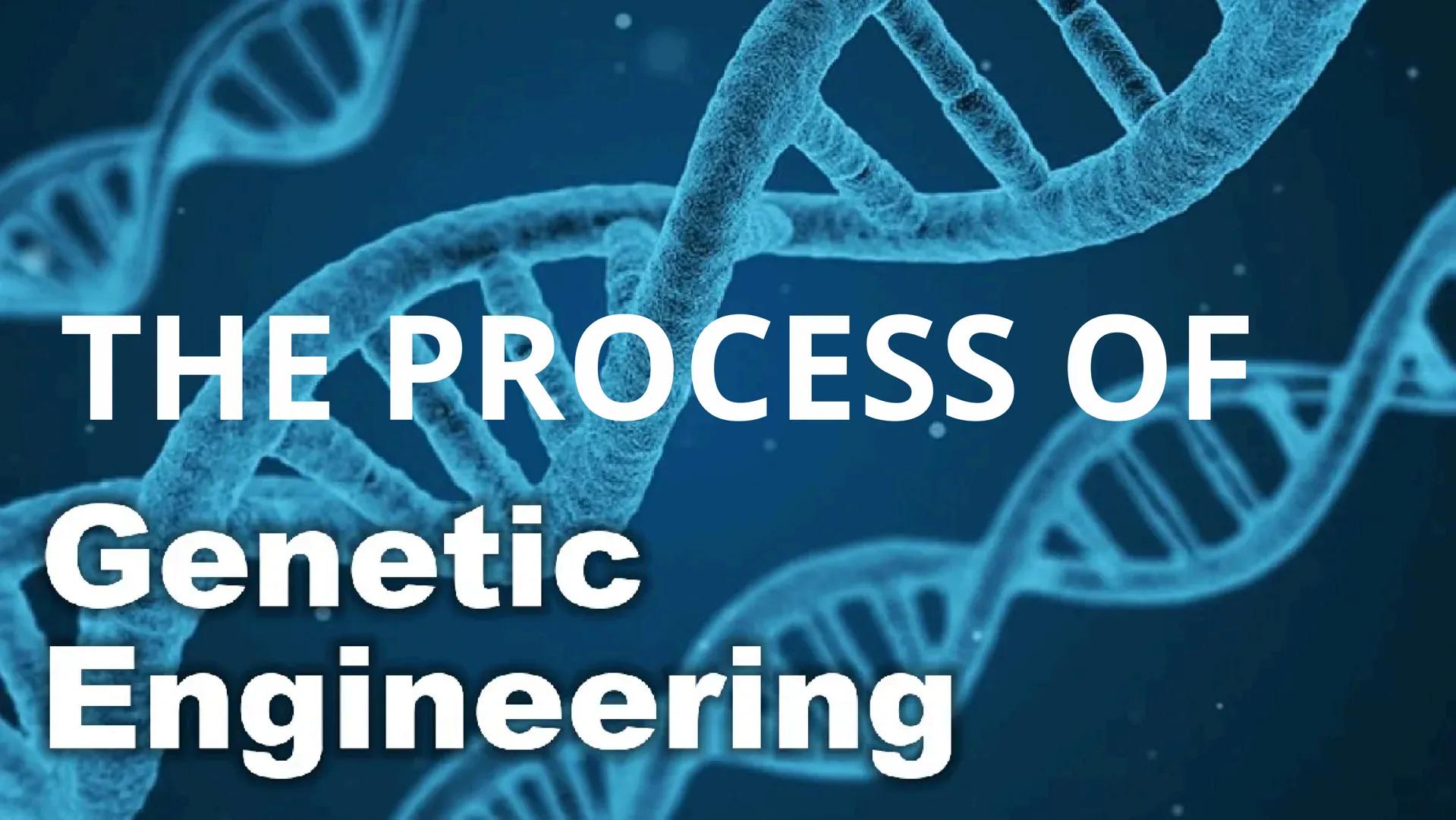 GENERAL BIOLOGY II
WEEK 1 | THIRD QUARTER | SECOND SEMESTER OBJECTIVES:
At the end of the lesson, the students should be
able to:
⚫ introduc